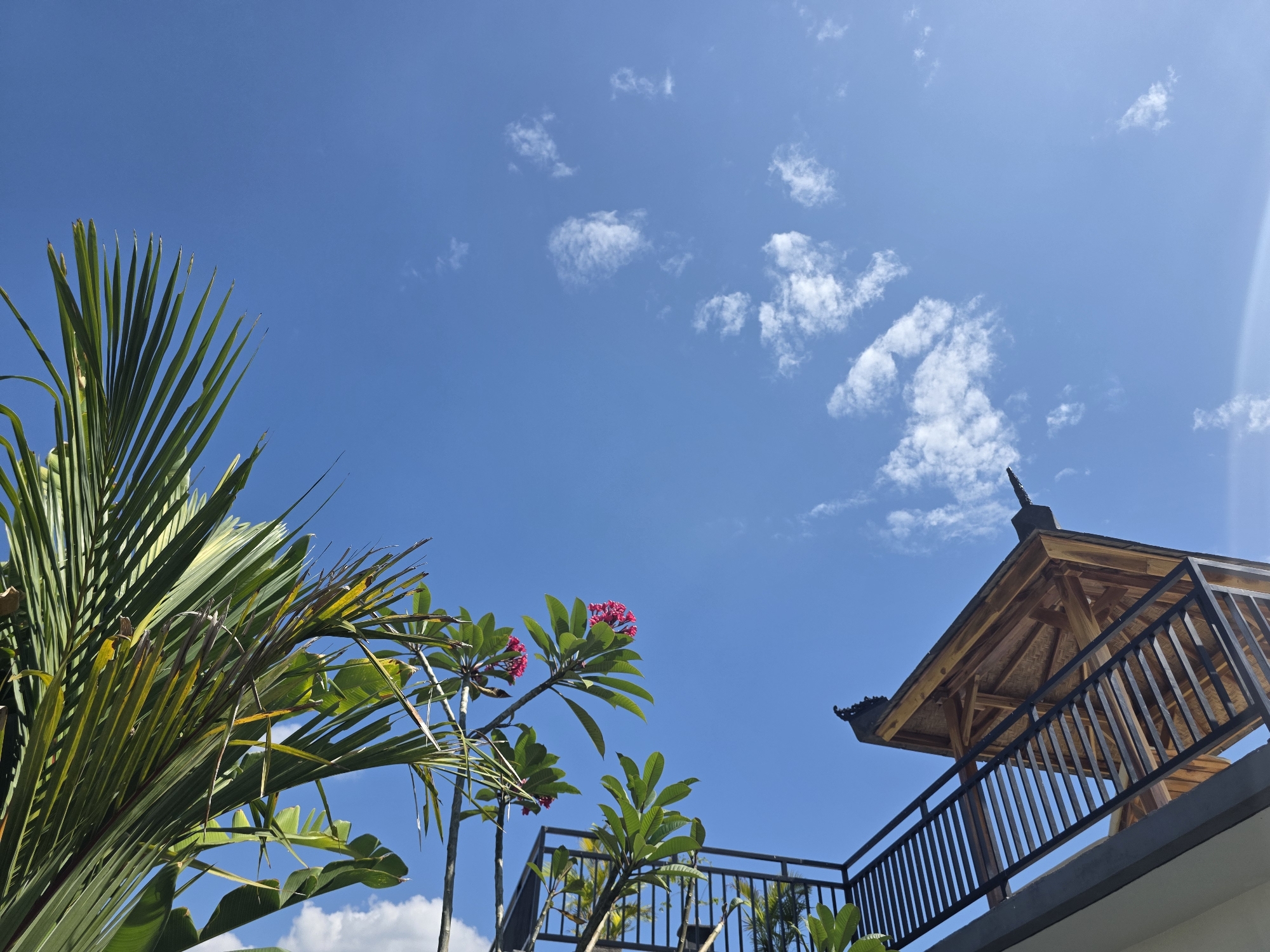 The image captures a bright, sunny day with a clear blue sky dotted with wispy white clouds. In the foreground, a large palm frond is visible on the left, its long green leaves reaching towards the sky. To the right, a portion of a wooden structure, possibly a gazebo or pavilion, is seen. It has a dark, ornate roof with multiple tiers and a railing made of black metal bars. Below this structure, another railing is visible, suggesting it's part of a balcony or walkway. Several trees with green leaves and some with pink flowers are also present, intermingled with the man-made structures and greenery. The scene appears to be set outdoors, likely in a tropical location given the palm trees and lush foliage, and the style of the wooden pavilion hints at an Indonesian setting, possibly in the city of Seririt, Indonesia. No people are visible in the frame.