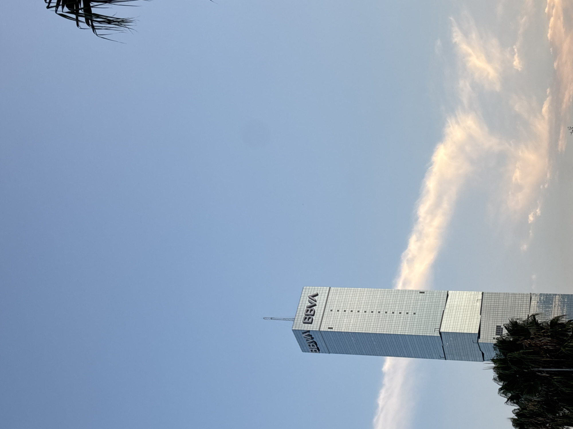 A low-angle shot of the BBVA building in San Andrés Cholula, Mexico. The sky is mostly clear blue with some wispy clouds near the right side of the frame. Palm tree fronds are visible in the top left and bottom right corners. The building is a glass-covered skyscraper with the BBVA logo prominently displayed.