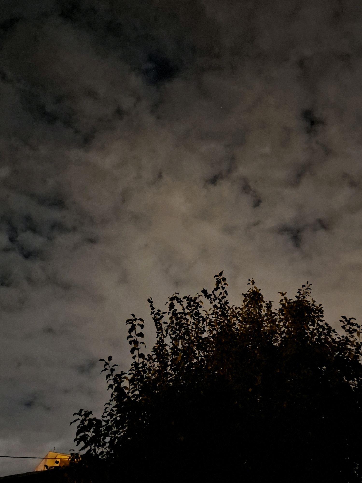 The image depicts a nocturnal outdoor scene dominated by a cloudy sky and the silhouette of tree foliage. The clouds are dense and appear to be illuminated from behind, giving them a diffused, ethereal quality. In the upper portion of the sky, a faint point of light, possibly a star or planet, is visible. The lower part of the image is filled with the dark, dense silhouette of a tree's branches and leaves. The leaves are varied in shape and arrangement, creating a textured pattern against the sky. A small portion of a structure, possibly a building with a yellow-lit element, is visible in the bottom left corner, partially obscured by the tree. The overall atmosphere is dim and moody, characteristic of a night sky with cloud cover. The scene does not contain any discernible people or explicit actions. The location is specified as Tyumen, Russia.