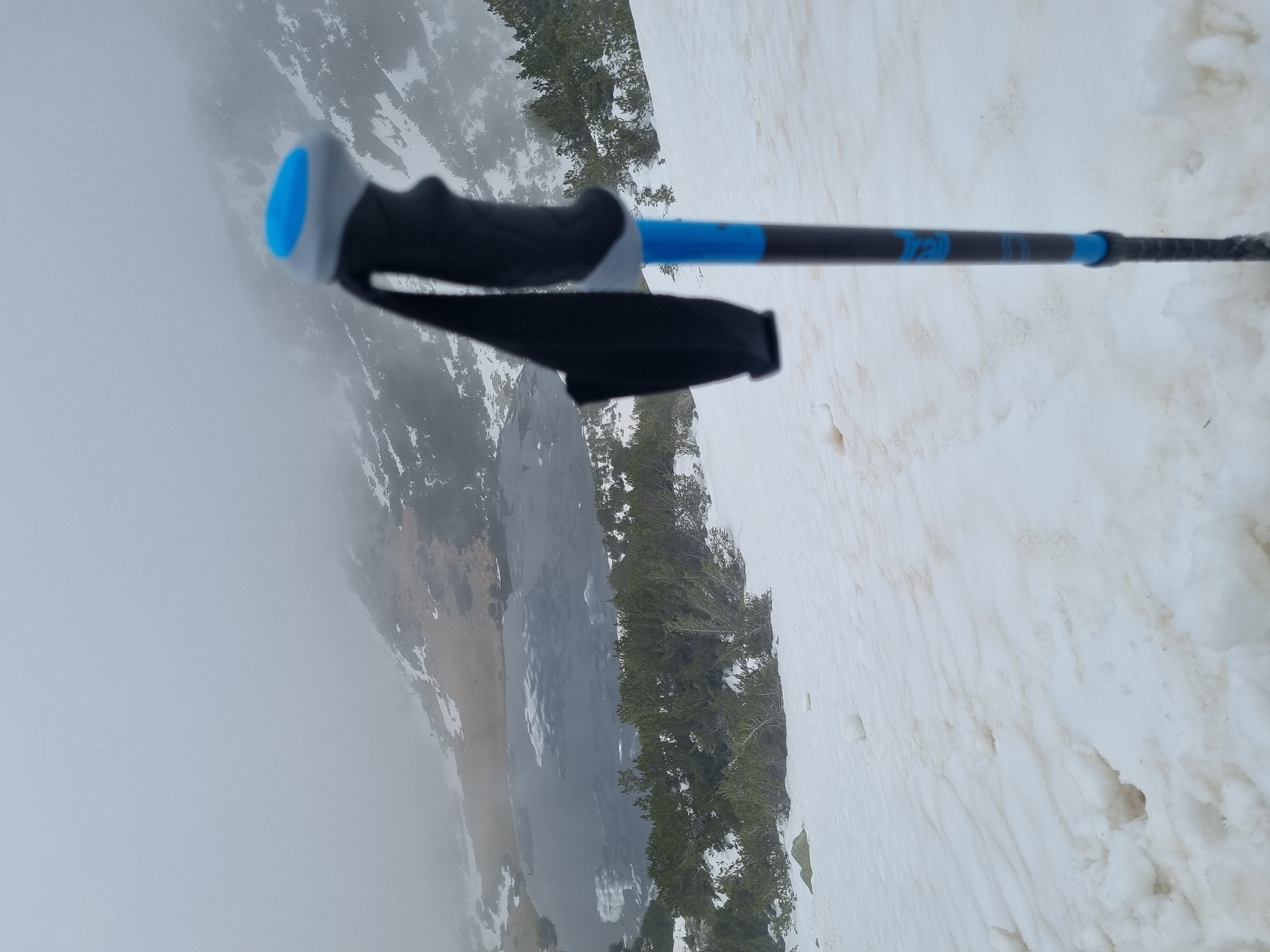 A close-up, slightly rotated view from above shows a trekking pole in a snowy, mountainous landscape. The pole has a gray and blue grip, a black handle, and the word "Trail" printed in blue on the shaft. The background includes patches of snow, green trees, a body of water, and fog obscuring some of the scenery. The location is in the mountains near Govedartsi, Bulgaria, as suggested by the landscape and terrain.