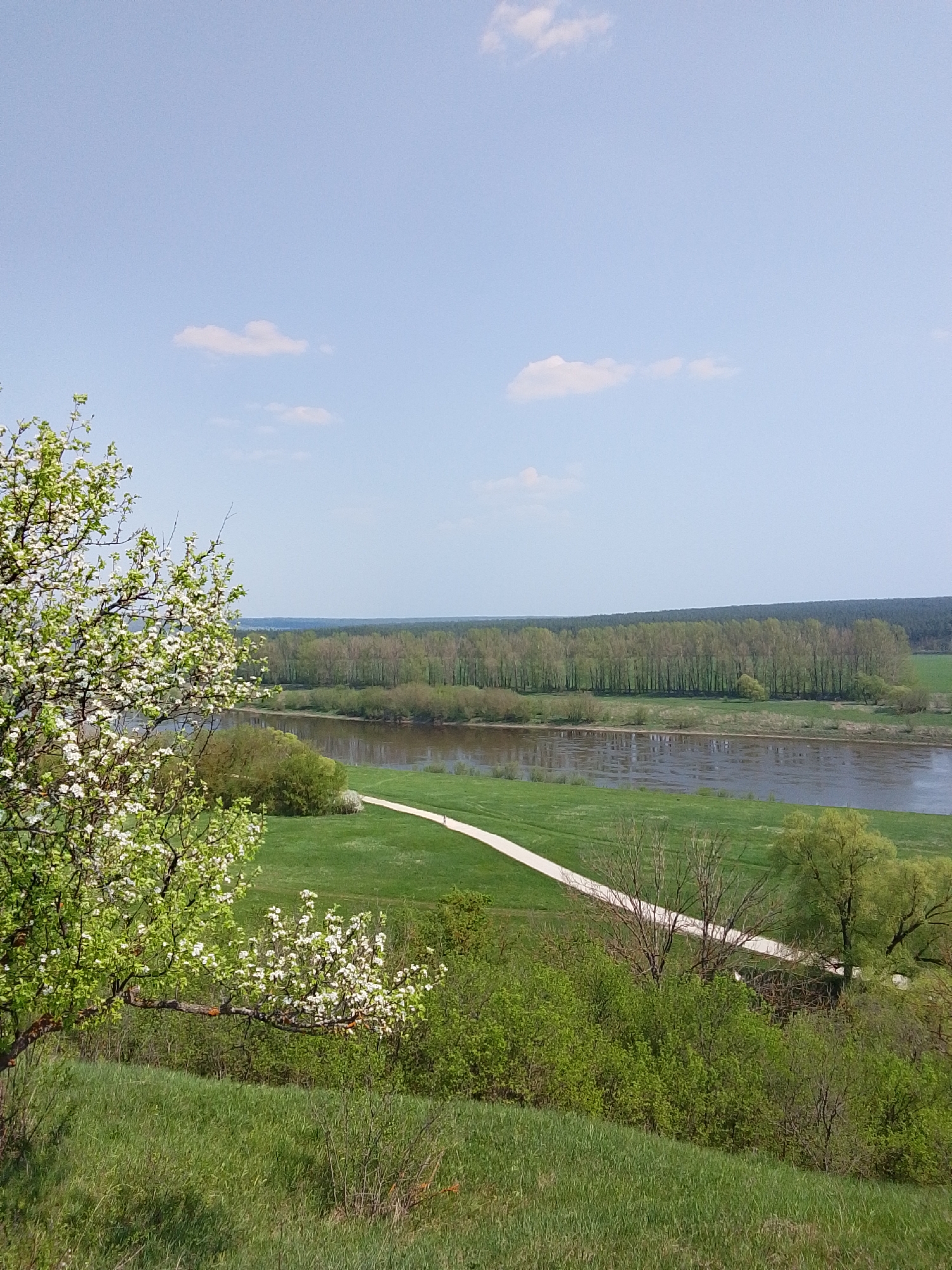 The image depicts a natural landscape featuring a river, a grassy field, and trees, likely taken in Каменка, Russia, given the prompt's mention of the city. The sky is mostly clear blue with a few scattered clouds. A body of water, likely a river, occupies the middle ground of the image. Across the river, a dense forest extends along the horizon. In the foreground, a grassy field slopes down towards the river. A white path bisects the field and leads towards the river. Several trees and bushes are visible on the right and left sides of the field, with one tree covered in white blossoms dominating the left side of the image. The overall environment suggests a calm, rural setting. There are no visible people or interactions in the scene.