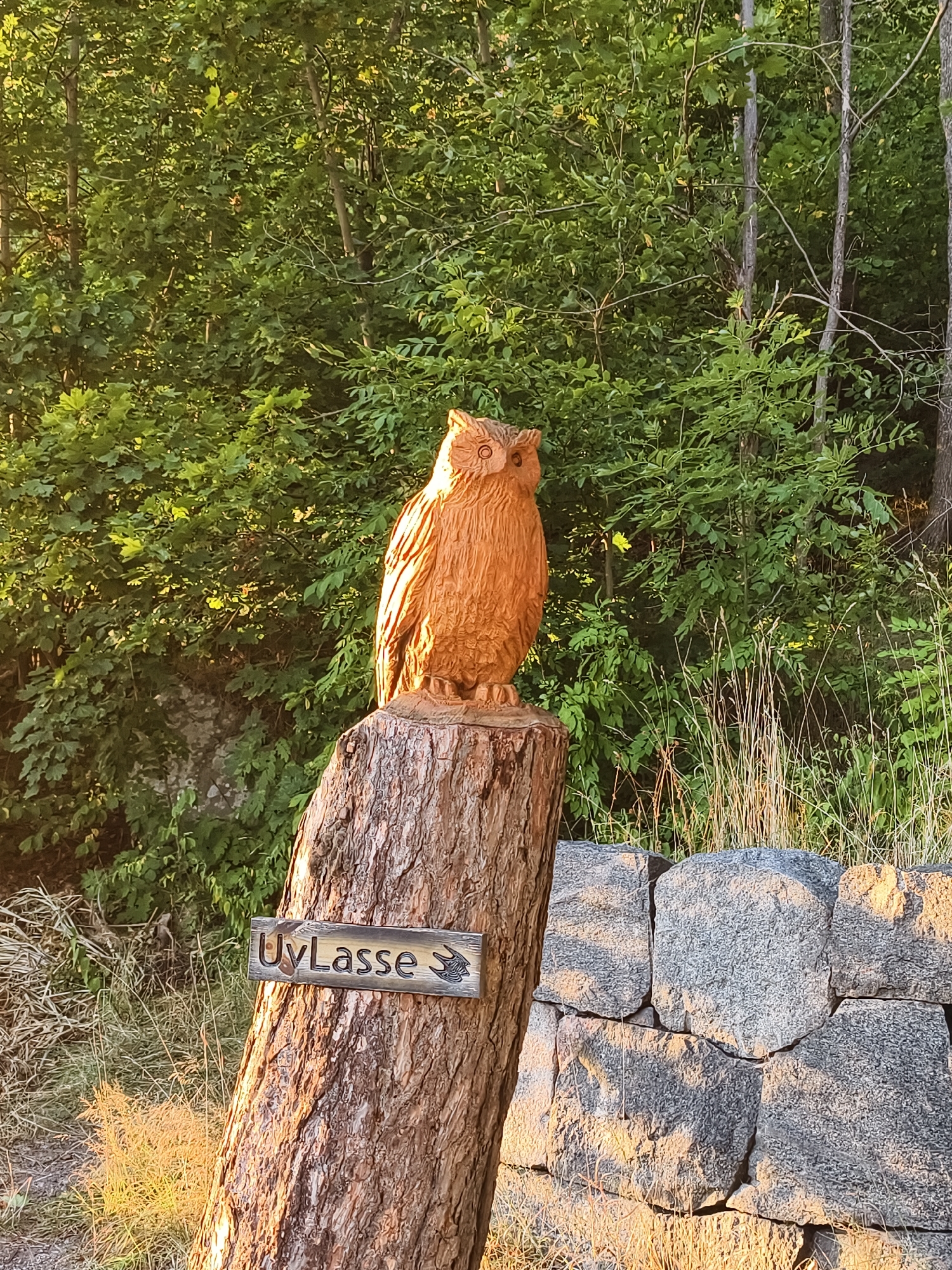 A wooden carving of an owl is perched atop a rough-hewn tree stump. The owl carving, made of a light-colored wood, is detailed with feathers and has prominent circular eyes. Attached to the tree stump below the owl is a dark wooden sign with carved lettering that reads "UvLasse" and an image of a bird in flight. The stump is textured and appears weathered. Behind the stump, a dense wall of green foliage forms a natural backdrop, with sunlight filtering through the leaves. To the right of the stump, a wall constructed of rough, grey stones is visible, with dry grass growing in front of it. The scene appears to be outdoors, in a natural setting, possibly a park or garden, with the overall impression of a rustic and artistic display. This scene is located in Söderköping, Sweden, in the area of Ekenäs, where the artwork is displayed by the roadside.