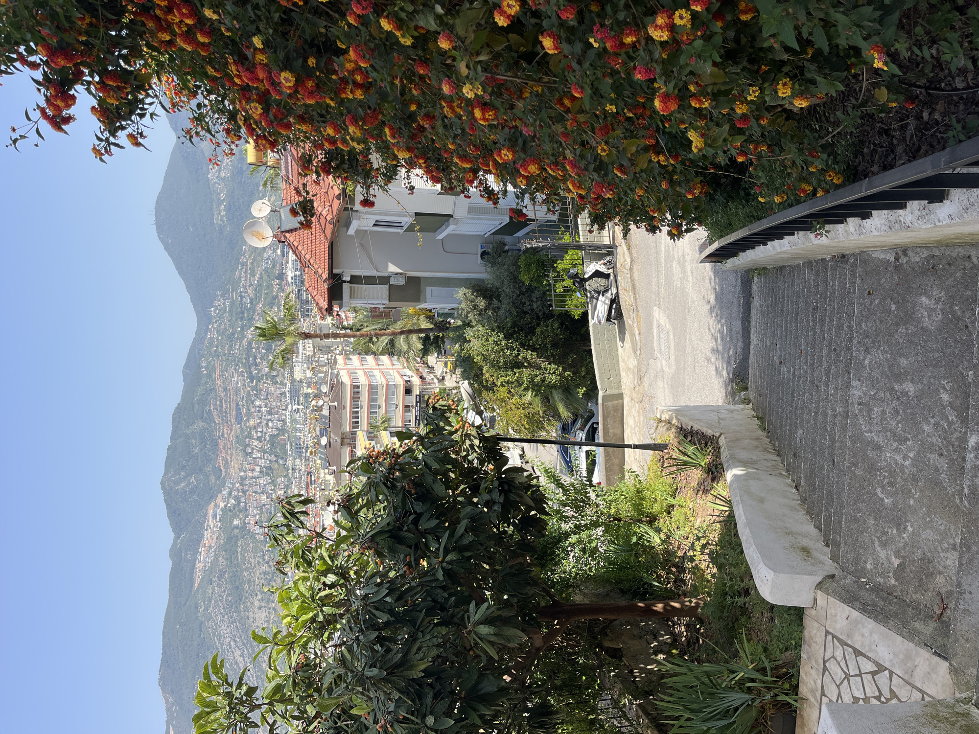 View from a height overlooking the city of Alanya, Turkey. The foreground is dominated by greenery, including a tree and flowering shrubs, bordering a set of concrete stairs leading downwards. The stairs have a low concrete wall on one side and a metal railing on the other. Adjacent to the stairs, a street with parked cars is visible. Further down the slope, various buildings of the city can be seen, extending to a mountain range in the background. A clear blue sky covers the upper part of the frame. A house with a red-tiled roof and satellite dishes is partially visible.