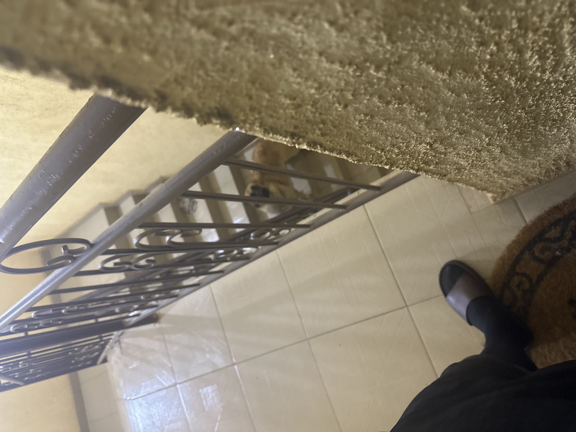The image depicts a dimly lit indoor staircase with beige tiled flooring and a dark metal railing. A person's legs, clad in black pants and wearing a dark sandal over what appears to be a sock, are visible in the lower left corner, standing on a circular doormat. Further down the staircase, a small dog with light brown fur is visible through the railing. The wall to the right of the railing has a rough, textured beige finish. The overall environment suggests a residential or communal building in Gwarinpa, Nigeria.