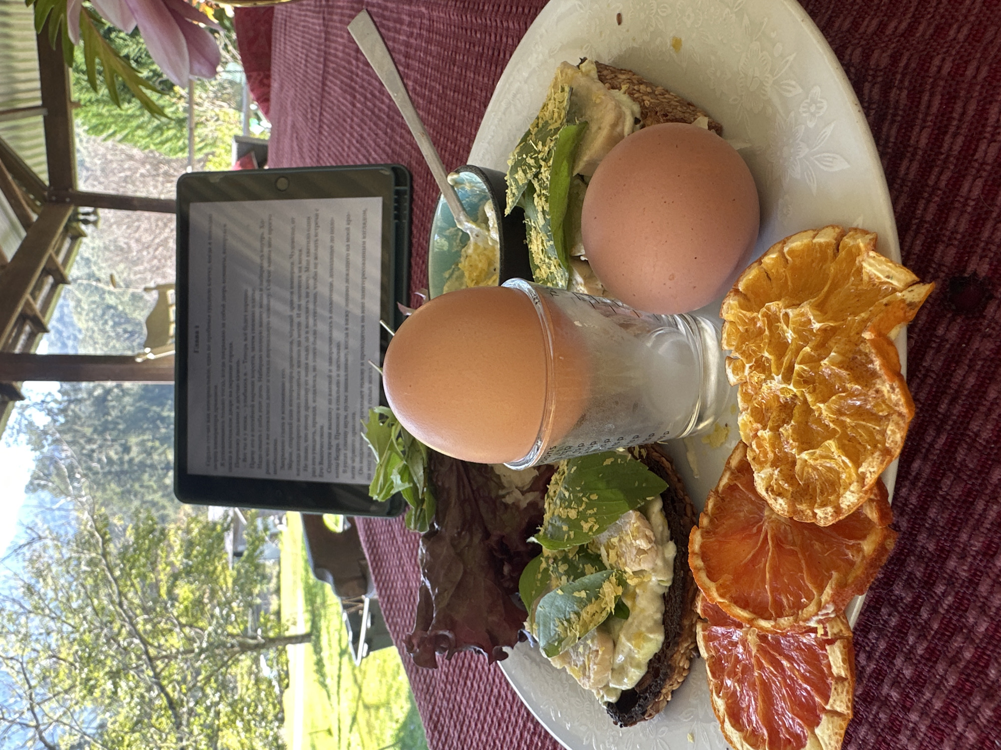 An outdoor breakfast scene is depicted in this image, set on a red tablecloth. The table holds a white plate with various food items: two boiled eggs, one standing in a clear glass holder, and a slice of toast topped with what appears to be avocado, some greens, and possibly fish or chicken salad, sprinkled with yellow flakes. There is also a small bowl containing a yellow creamy substance, likely a dip or sauce, with a spoon resting in it. To the left of the plate, three dried citrus slices, one grapefruit and two oranges, are arranged. In the background, a tablet device is propped up, displaying text. Beyond the table, a scenic view of lush green trees and mountains is visible, suggesting a rural or semi-rural setting. The overall ambiance is one of a relaxed, healthy meal enjoyed outdoors. The location is identified as Thora, Australia.