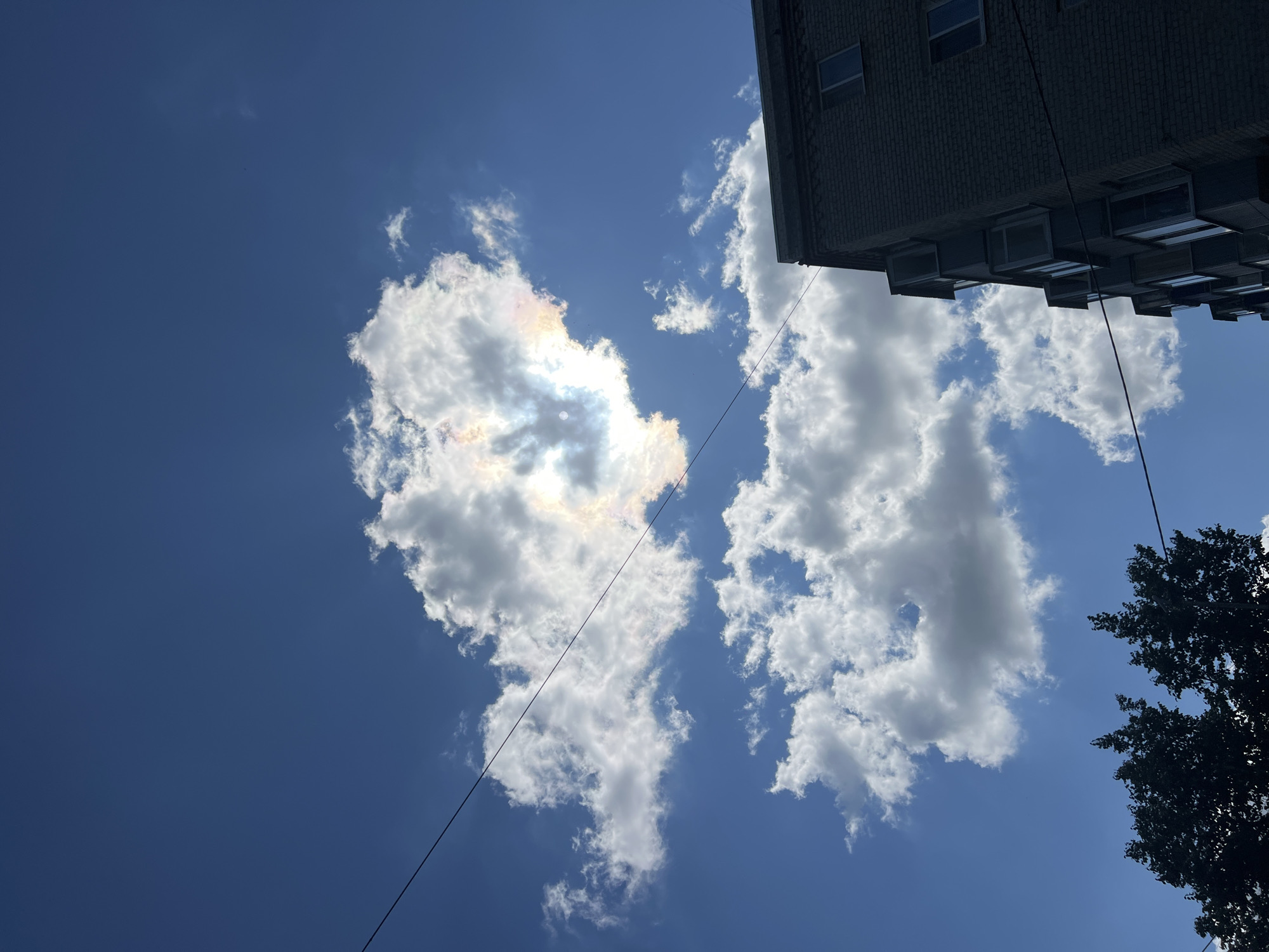 An outdoor, low-angle, vertical shot captures a segment of a blue sky with scattered clouds. A thin, black wire stretches diagonally across the frame from the upper left to the mid-right. Partially visible in the lower right corner is the dark brick facade of a building with multiple windows, some appearing to be enclosed balconies. The top of two dark green trees is visible in the lower left corner. The clouds in the upper center appear iridescent, suggesting a potential sun dog or iridescence phenomenon. The image was captured in Ulyanovsk, Russia.