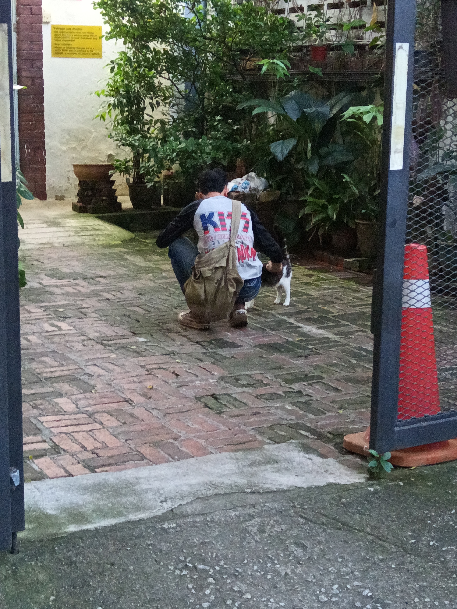 In Kuala Lumpur, Malaysia, a person wearing a white t-shirt with red lettering and blue jeans is squatting on a brick-paved courtyard. The person is facing away from the camera and appears to be interacting with a black and white cat. A khaki-colored messenger bag is slung over the person's right shoulder. The environment includes lush green plants in pots and a red and white traffic cone near a metal fence. A yellow sign with text in an Asian language is visible on a white wall in the background. The ground is a pattern of reddish-brown bricks with some mossy growth.