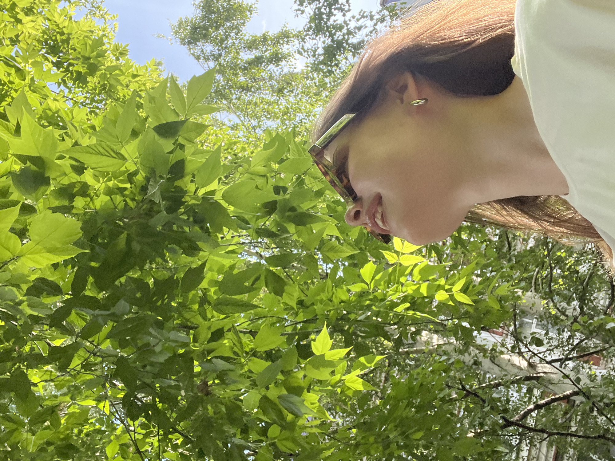 The photograph shows a low-angle view, looking up into green foliage with a woman's face partially visible at the top-right corner. She is wearing sunglasses and a light-colored top. Her brown hair is visible, and she is wearing an earring. The background includes building details visible through the trees. Given the location is Chaikovsky, Russia, the surroundings consist of typical urban greenery and residential or commercial architecture. The photo captures an upward gaze toward trees, likely taken outdoors in the daytime.