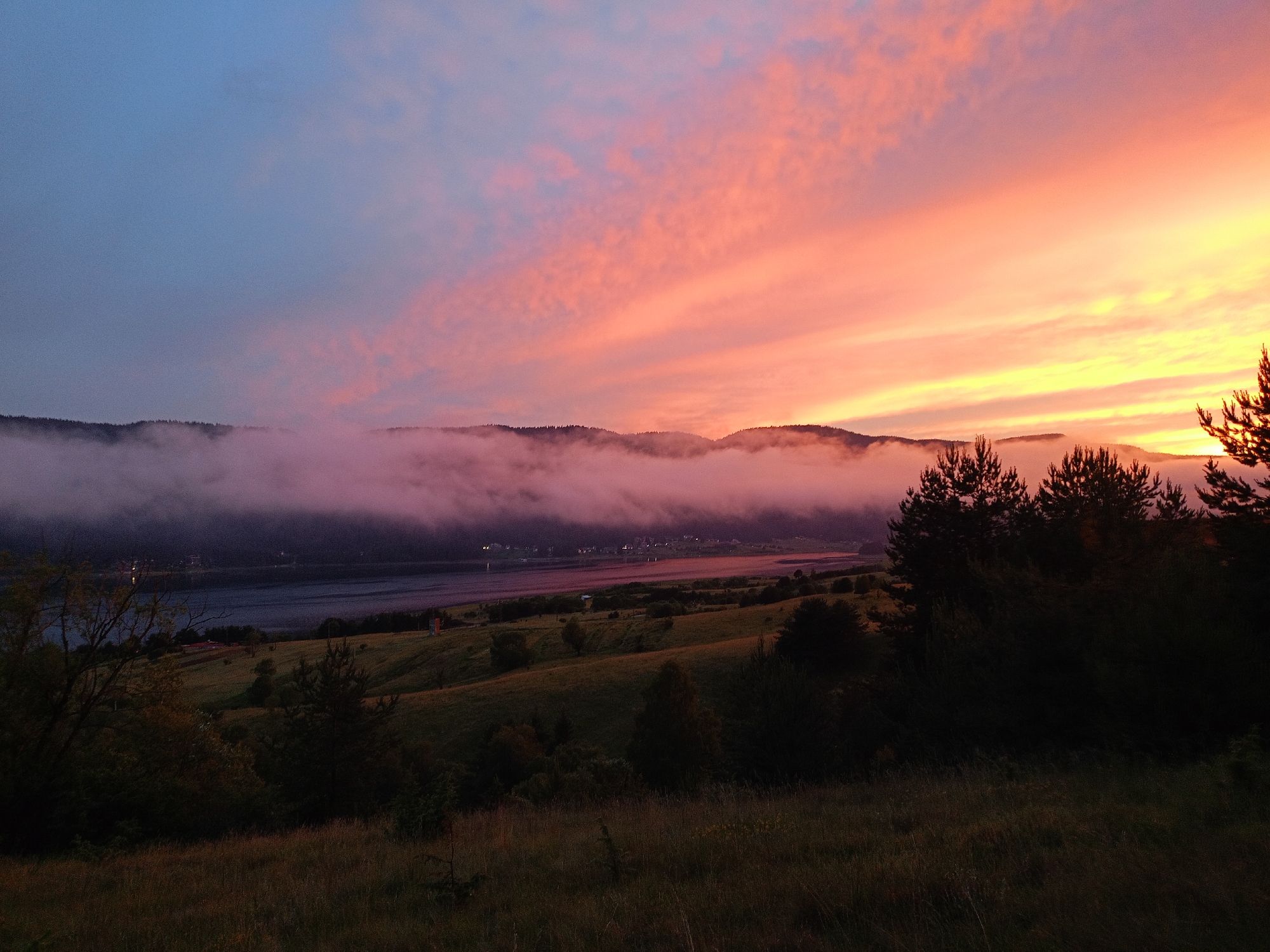 The photograph depicts a sunset over Sarnitsa, Bulgaria. The sky is ablaze with colors ranging from deep blue to vibrant pink and orange, with wispy clouds streaking across. In the foreground, a grassy hill slopes downwards towards a body of water, likely a lake or reservoir. Trees, some silhouetted against the sky, dot the landscape. A band of mist or fog hovers over the distant hills, obscuring the view of the town and creating a serene, atmospheric effect. The scene is devoid of any people or discernible activity, emphasizing the natural beauty of the sunset and the tranquil environment of Sarnitsa.