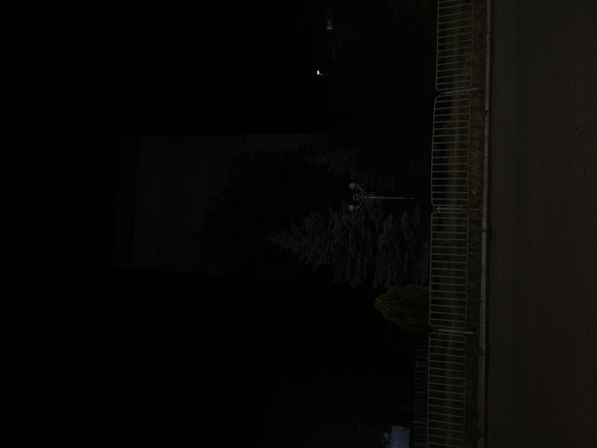 The image depicts a nighttime scene in Dnipro, Ukraine, likely on the grounds of a building. A large, dark building dominates the background. In the mid-ground, several evergreen trees are visible, with one prominent, cone-shaped evergreen in the center, flanked by darker, more dispersed trees. A vintage-style street lamp with two globes stands to the left of the central evergreen. In front of the trees, a metal fence with vertical bars stretches across the scene. Beyond the fence, a road or pavement is visible, and further in the foreground, a dark, asphalt-covered area occupies the bottom portion of the image. The overall lighting is dim, suggesting it is nighttime or very early morning. There are no people visible in the image.