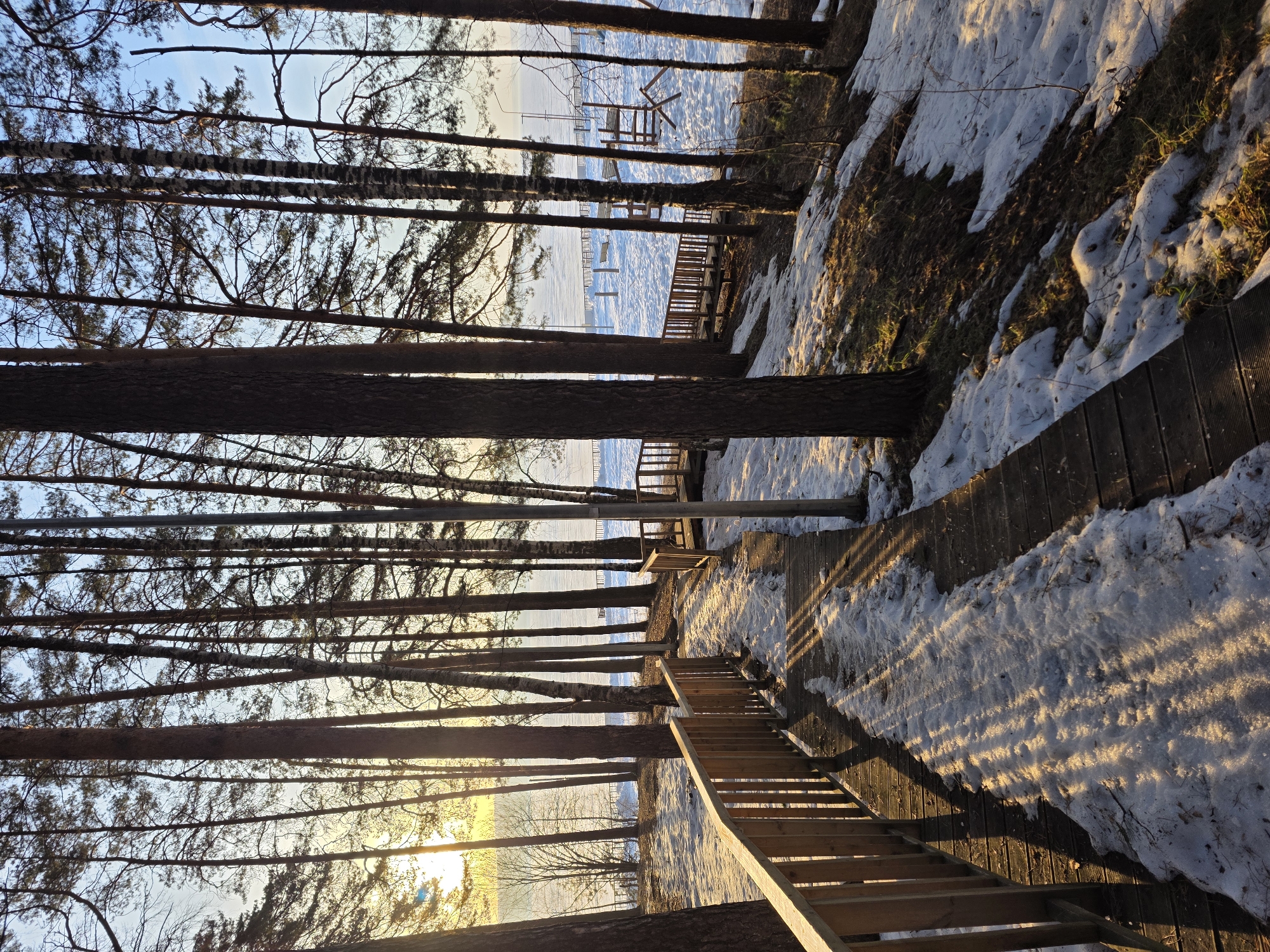 The image depicts a winter scene in Chaikovsky, Russia, specifically at the embankment. The vantage point is looking down a set of wooden stairs leading towards a frozen body of water, presumably the Kama River, partially covered with snow and ice. Wooden piers and structures are visible extending into the water. Tall, slender trees, including birch and pine, line the walkway, casting long shadows on the snow and wooden path. Patches of snow are present alongside the wooden walkway and on the ground. The sun is low in the sky, casting a golden light through the trees.