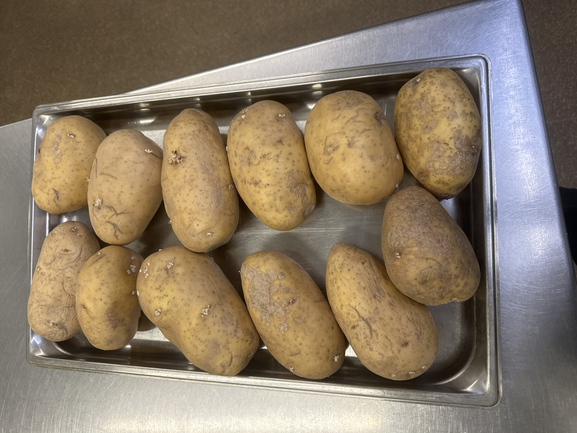 A high-angle shot shows a metal tray filled with twelve whole, unpeeled potatoes. The potatoes are arranged in three rows of four. The top row has four potatoes, the middle row has four potatoes, and the bottom row has four potatoes. The potatoes are various shades of brown and yellow, with some having darker brown spots. Some of the potatoes have small white sprouts growing from their eyes. The tray is sitting on a shiny metal surface, possibly a countertop or table. The background is a mottled brown color. The lighting appears to be artificial and is casting a slight shadow on the left side of the tray. There is no visible text in the image. The overall scene depicts a preparation or storage of potatoes in a clean, possibly commercial, kitchen environment.