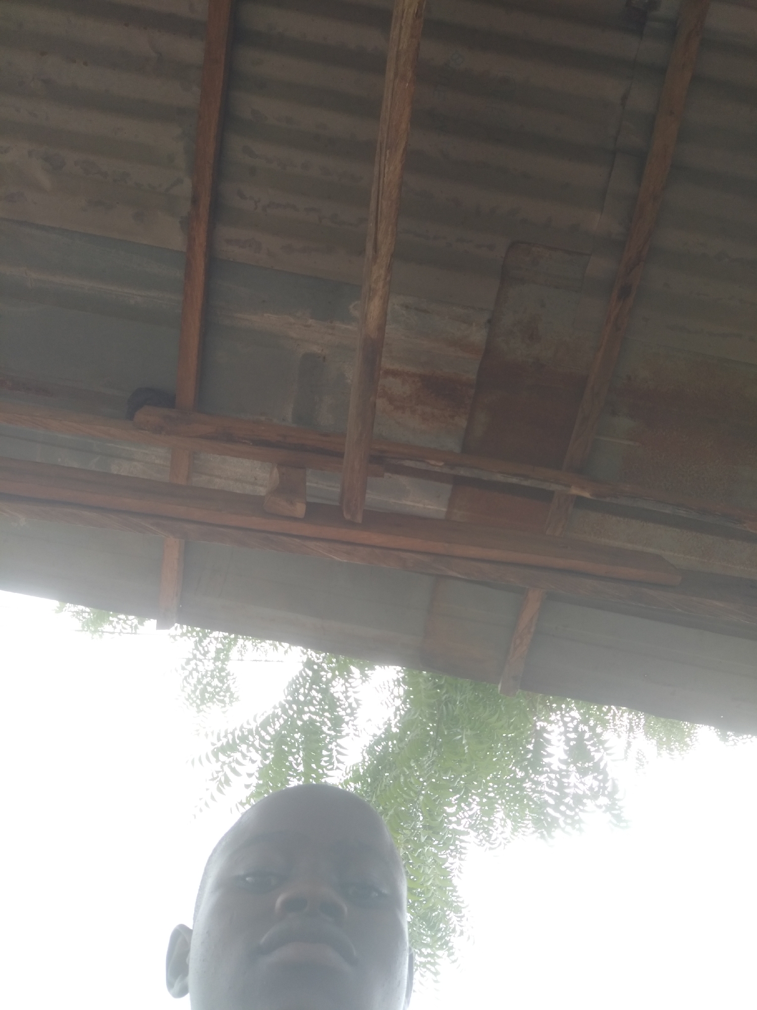 The image shows a person looking up at a corrugated metal roof supported by wooden beams. Outside the shelter, the sky is bright, and there are trees with green leaves. The location is Unknown, Unknown.