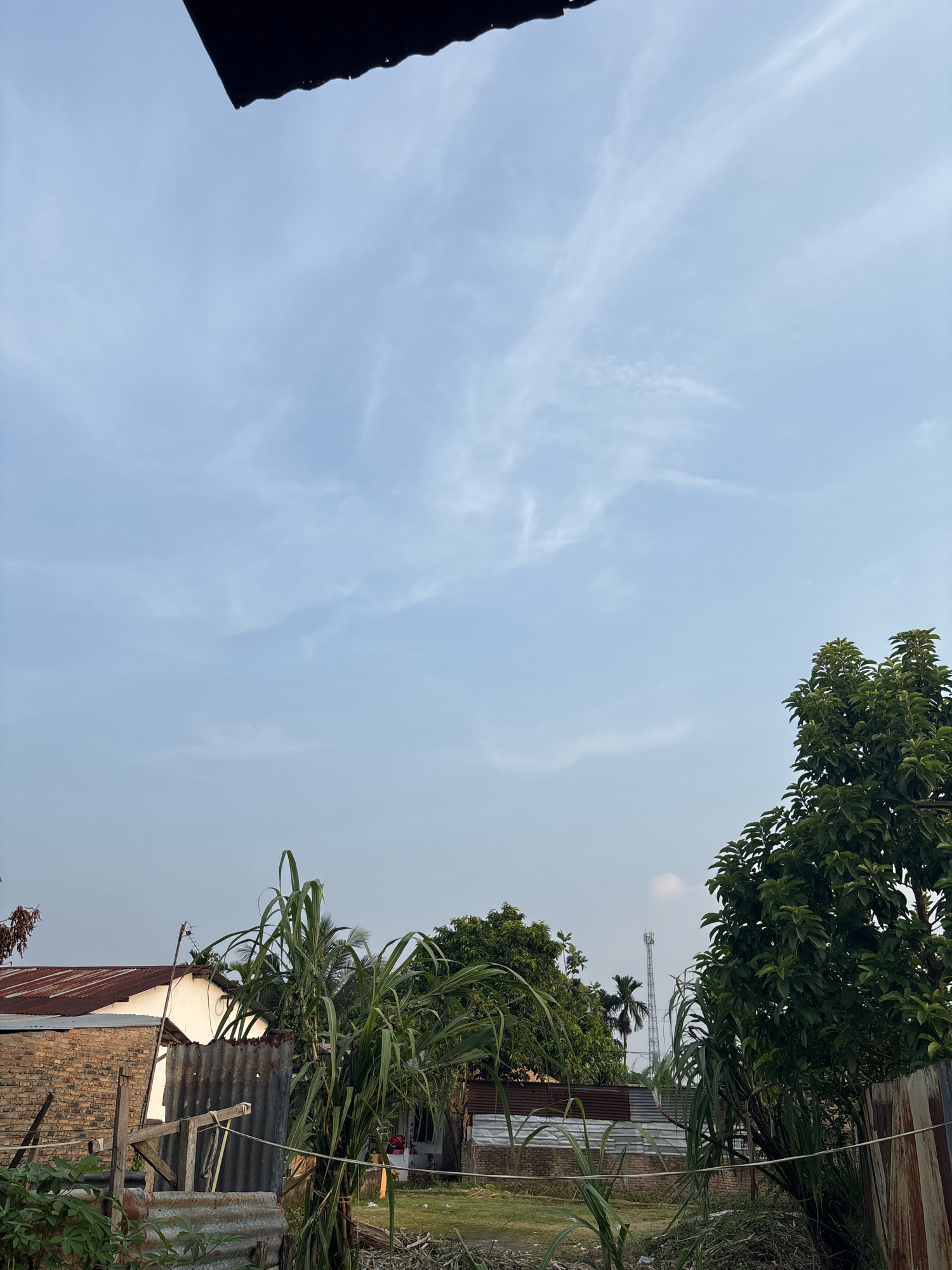 The image captures a scene in Helvetia, Indonesia, featuring a sky with wispy clouds. In the foreground, there are structures with corrugated metal roofing and brick walls, suggesting a residential or utility area. Tall green plants, possibly sugarcane or bamboo, are prominent. A mature tree with dense green foliage is visible on the right side. In the background, a telecommunications tower can be seen, indicating a developed area within the city. The overall impression is of a rural or semi-urban landscape under a cloudy sky.
