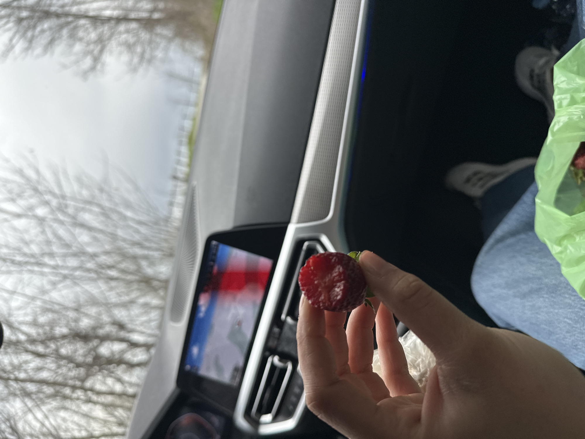 A person is holding a red strawberry in their right hand inside a car. The car's dashboard and infotainment screen are visible, suggesting the location is inside the vehicle. Outside the car window, trees are visible. Based on the limited information, the location in Kozarka, Bulgaria, cannot be confirmed. Further details and contextual information are required to establish the exact location.