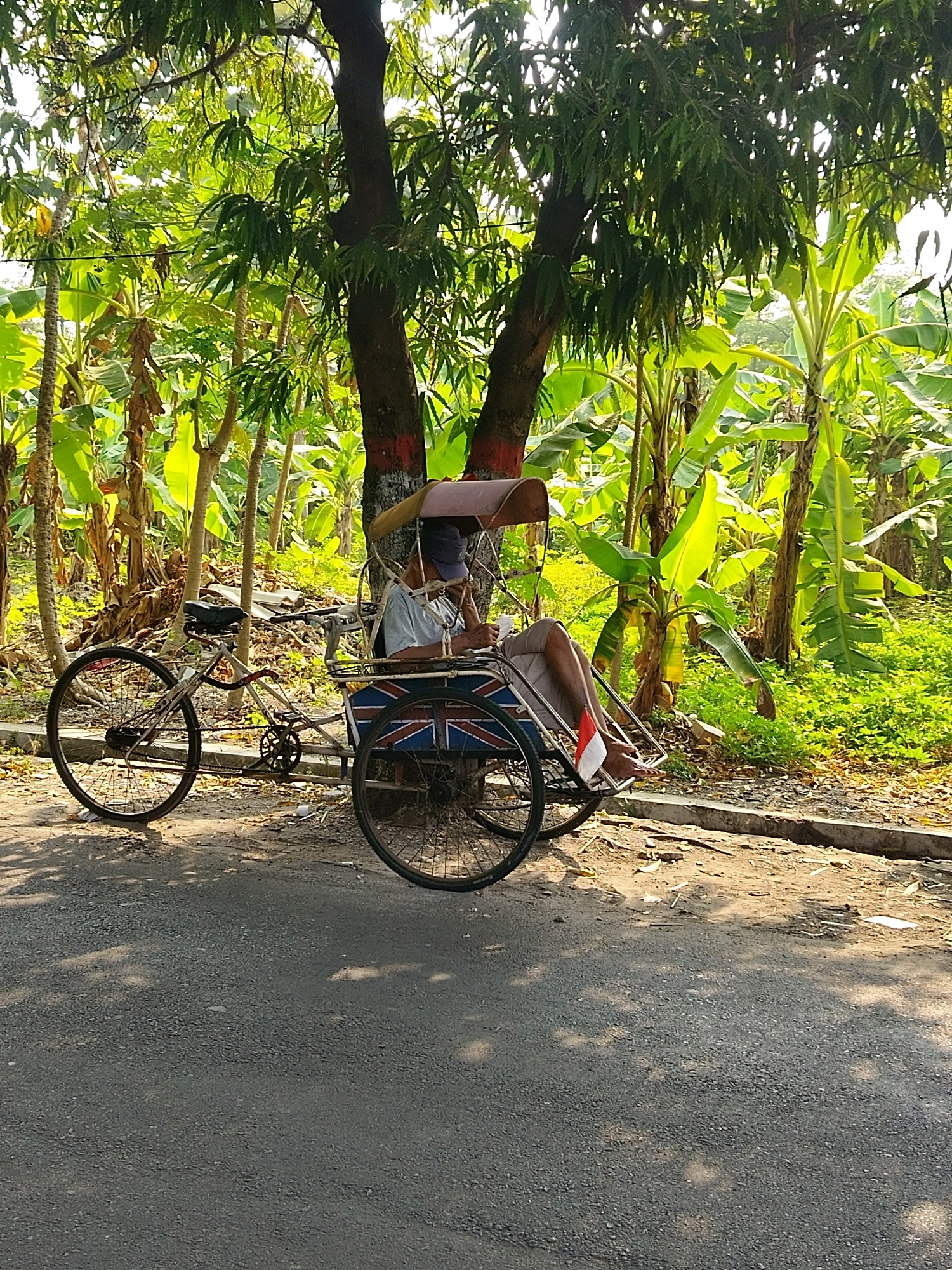 An outdoor scene depicts a person sitting in a three-wheeled bicycle rickshaw parked next to a tree. The rickshaw has a Union Jack design on its side and a light brown canopy. The person is wearing a blue cap, a light-colored shirt, and grey shorts, and appears to be holding something white in their hands. Their feet are visible, with a small Indonesian flag attached to the rickshaw near their right foot. The rickshaw is positioned on a dirt path next to a paved road, with lush green trees and banana plants in the background. The lighting suggests it is daytime, with sunlight filtering through the leaves, casting shadows on the ground. The overall impression is one of a stationary scene in a tropical or subtropical environment. The presence of the Indonesian flag suggests the location is likely within Indonesia. While the image doesn't explicitly confirm Mojokerto, the context of Indonesia aligns with the visual cues.