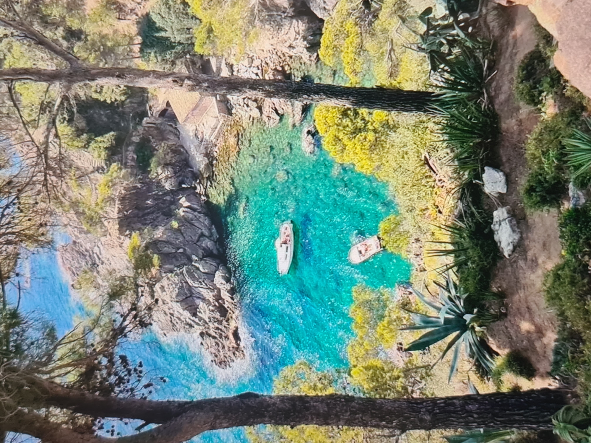 An aerial or high-angle shot captures a stunning, secluded cove with incredibly clear turquoise and deep blue water. The water reveals the rocky seabed beneath its surface, indicating shallowness near the shore and deeper areas further out. Two small white boats are present in the cove, each with at least one person visible on board, suggesting leisurely activity in the pristine waters.
The cove is surrounded by rugged, rocky cliffs covered in lush Mediterranean-style vegetation. Dense green trees, including pine trees, and various leafy plants like agave, carpet the hillsides. A distinctive stone building with a reddish-brown roof is nestled into the left cliff face, hinting at a dwelling or a small establishment by the sea. Several large tree trunks and branches frame the foreground of the image, suggesting the photo was taken from within a wooded area overlooking the cove.
The scene is bathed in bright sunlight, indicating a clear day, likely late morning or early afternoon, with distinct shadows visible on the land and water. The overall impression is one of natural beauty, tranquility, and an idyllic vacation spot. No visible text is present in the image.