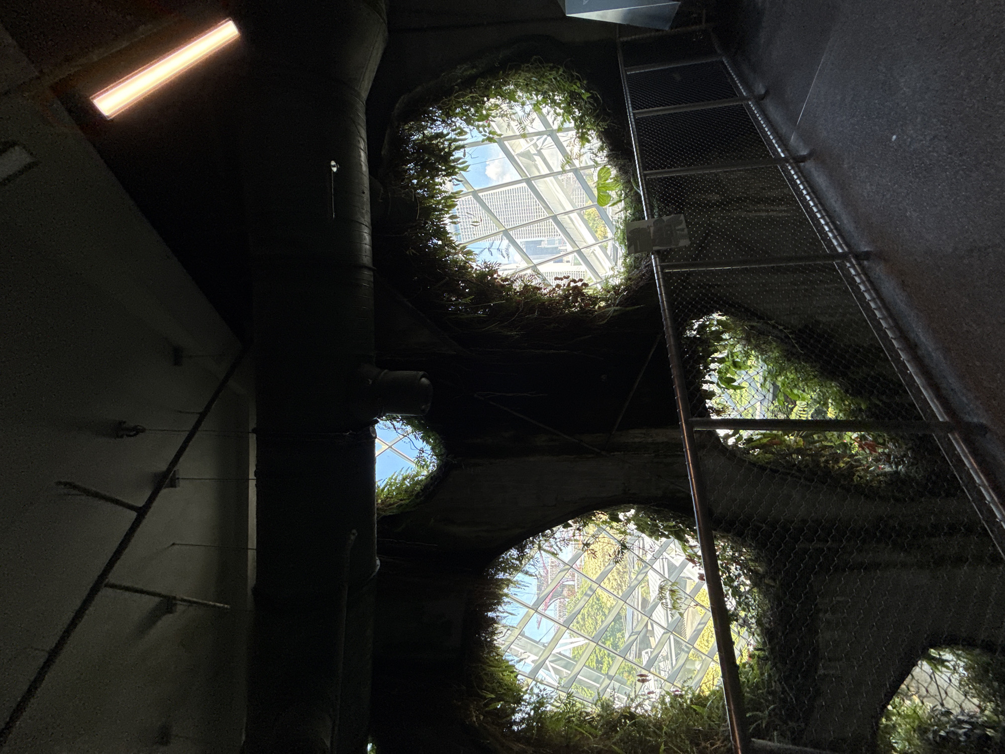 The image shows an upward view through multiple circular openings in a dark, possibly underground, structure. These openings reveal a complex, grid-like architectural structure outside, possibly a greenhouse or conservatory, with visible greenery and sky. The openings are edged with vegetation, creating a naturalistic contrast to the man-made structure beyond.
To the left of the openings is a vertical cylindrical structure, likely a pipe or column, and to the right is a metal grid or fence. A light fixture is visible in the upper left corner. The overall impression is one of an artificial environment built within a natural or re-purposed space.
