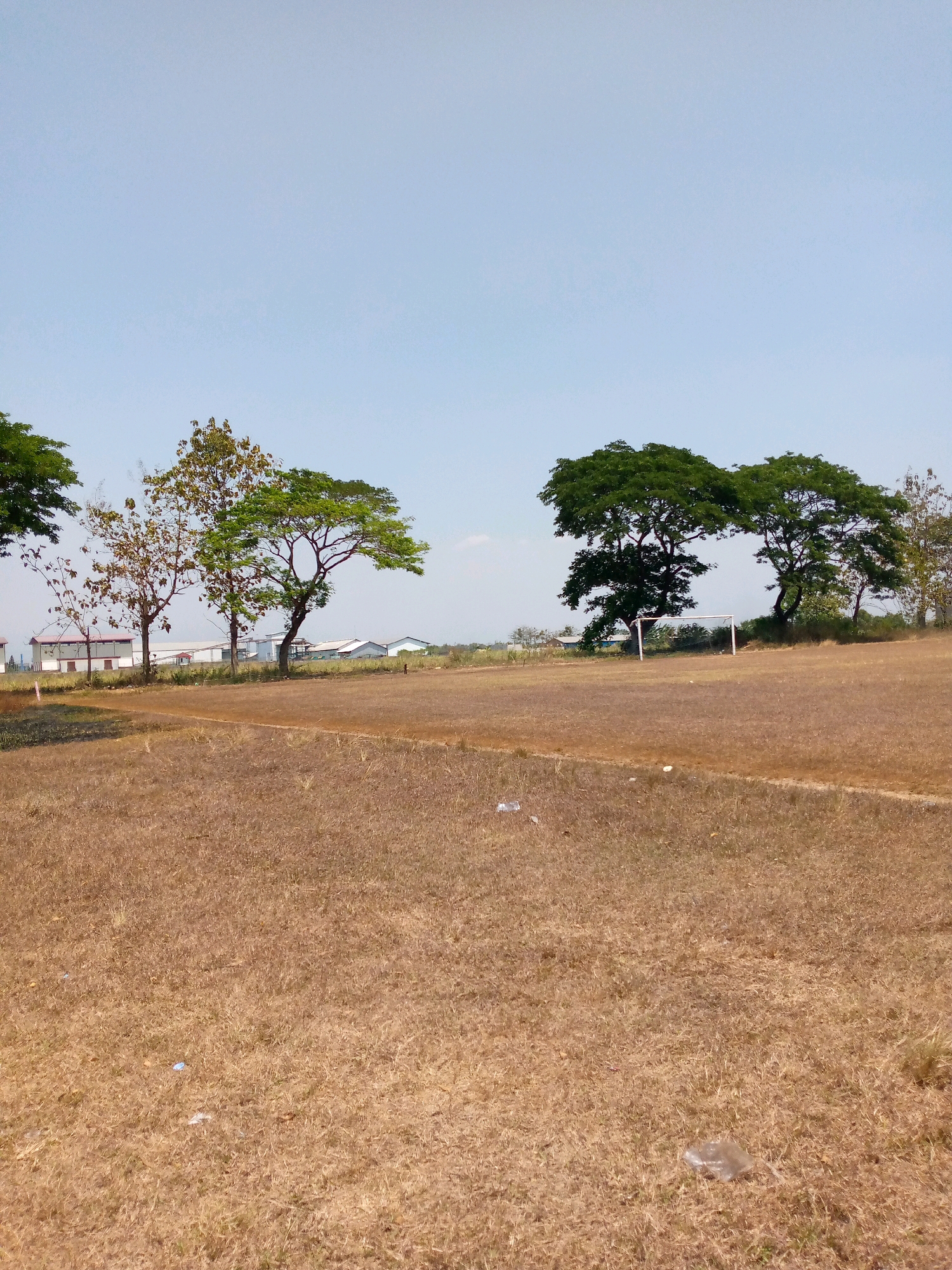 The image depicts an outdoor scene in the city of Pacing, Indonesia, likely a sports field. The ground is covered in dry, brown grass, suggesting a dry season. In the background, several industrial buildings with white roofs and grey structures are visible, bordered by a line of trees. Two prominent trees with lush green canopies stand in the middle ground, and to their right, a white soccer goal is positioned. The sky is clear and a pale blue. Scattered across the field are a few pieces of white plastic litter. There are no people or animals visible in the image.
