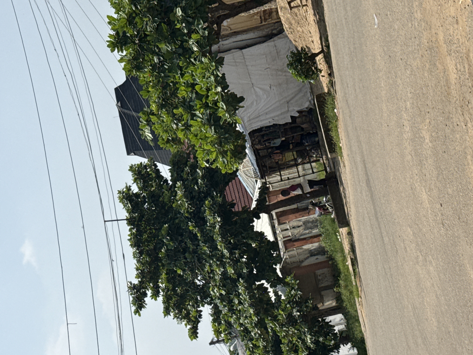 The image depicts a street scene in Abuja, Nigeria. On the left side of the frame, several trees with lush green foliage are visible, their branches reaching towards the sky. Above the trees, a series of power lines crisscross the sky, which is a pale blue with some faint white clouds.
To the right of the trees, a building with a dark, angled roof is partially visible. Adjacent to this, a stall or shop is set up with goods displayed. A white tarp covers a portion of the stall, and a metal grate encloses the front, revealing items for sale within. Behind the stall, an older building with brickwork and weathered windows can be seen.
A person wearing a red garment is standing near the stall. Further down the street, there are hints of more structures and possibly other people or parked vehicles, though details are obscured. A paved road occupies the right side of the image, running parallel to the buildings and vegetation. The overall impression is of a commercial or residential area on a bright, clear day. The orientation of the image is slightly tilted.