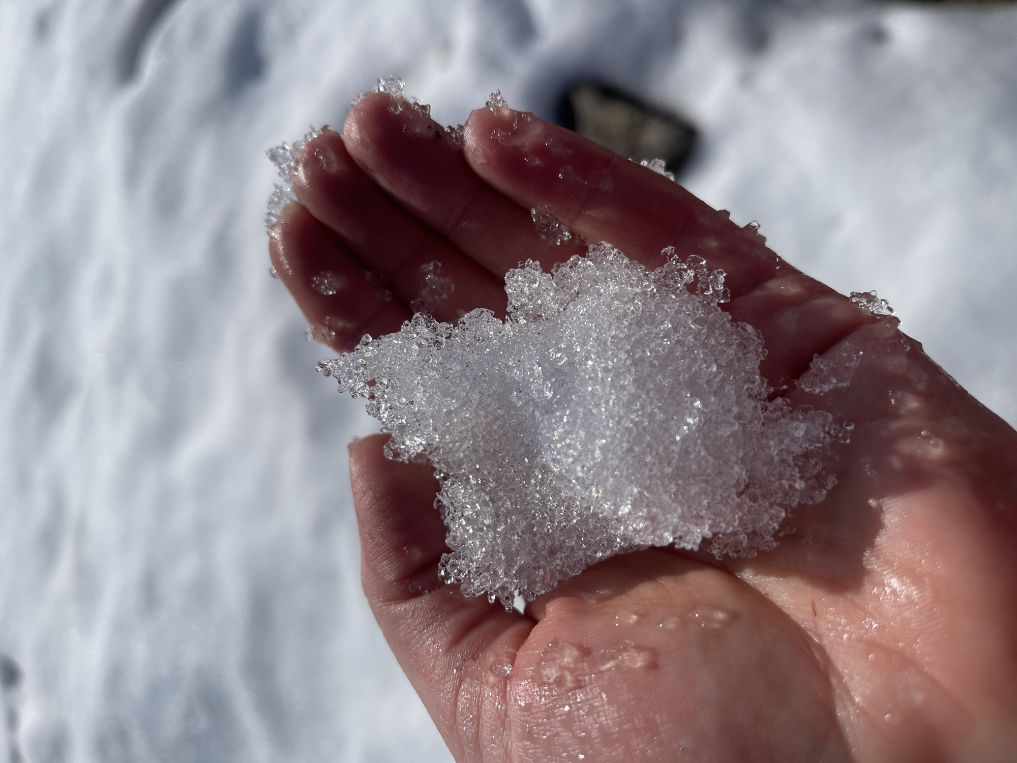 A close-up photograph shows an open human palm holding a clump of snow. The skin is light-toned, with visible moisture. The snow is crystalline and appears to be melting. In the background, a blurry field of snow is visible, with a dark, indistinct object partially visible behind the hand. The image appears to be taken outdoors in natural light. The location in the city of Chaikovsky, Russia, is unknown, as this cannot be determined from the image.