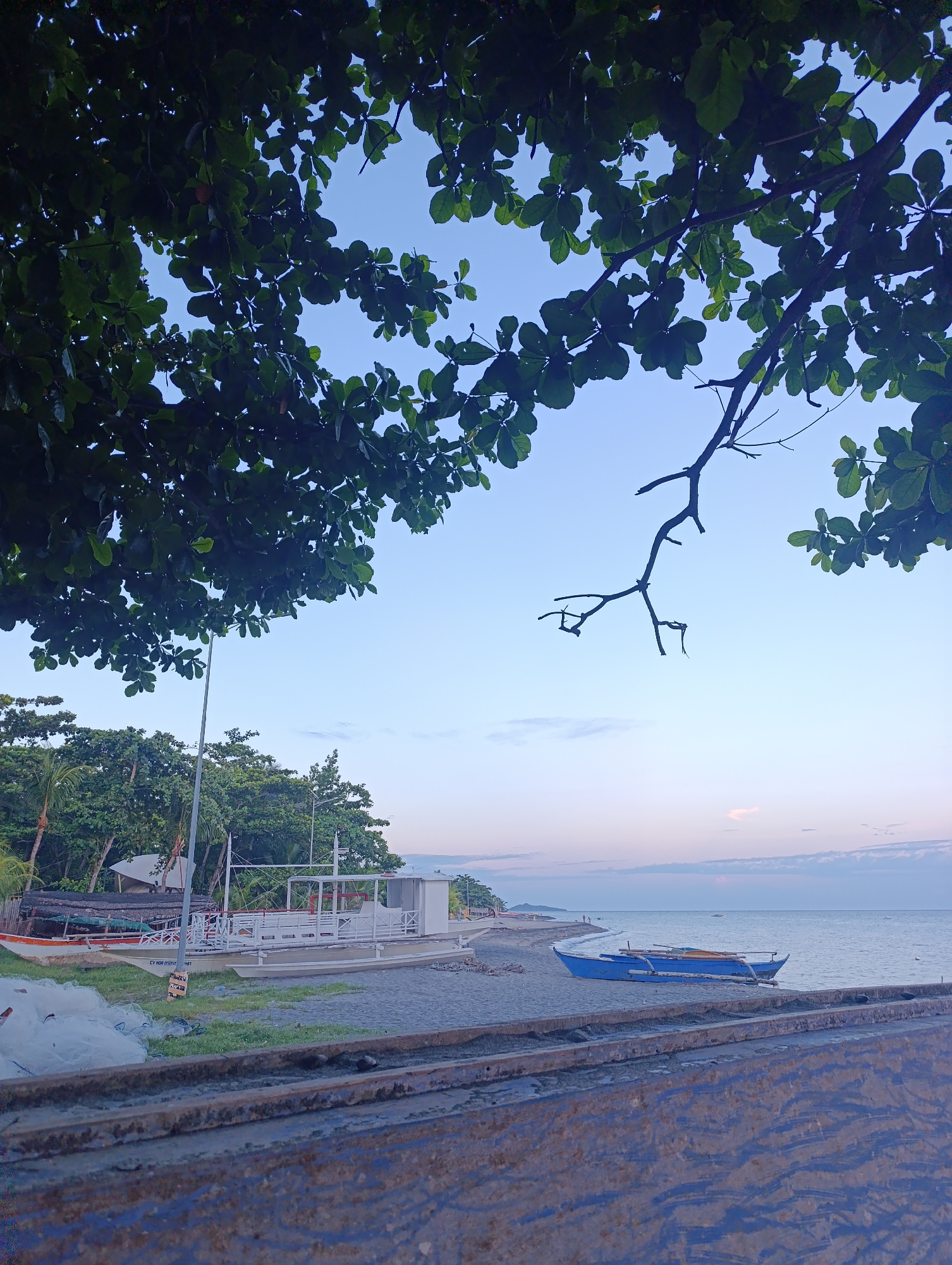 The image depicts a serene beach scene at dusk. In the foreground, a weathered, blue-painted surface with horizontal metal bars suggests a pier or walkway. Beyond this, a dark sand beach is visible, with scattered stones and a pile of white fishing nets. Two boats are present: a larger, white boat with a covered cabin and red railings is partially visible on the left, and a smaller, bright blue outrigger canoe rests on the sand to the right, with two yellow objects, possibly life vests, inside.
The middle ground is dominated by the ocean, which stretches to the horizon under a pale blue and soft pink sky, indicative of sunset. A thin line of clouds marks the horizon. The background features a lush line of trees, interspersed with some structures, possibly buildings or shelters. Tall, thin poles, likely lamp posts, stand near the trees. Overhanging the scene from the top left is a canopy of dark green leaves and branches of a large tree, framing the sky. The overall atmosphere is tranquil and peaceful. There are no visible people in the scene.