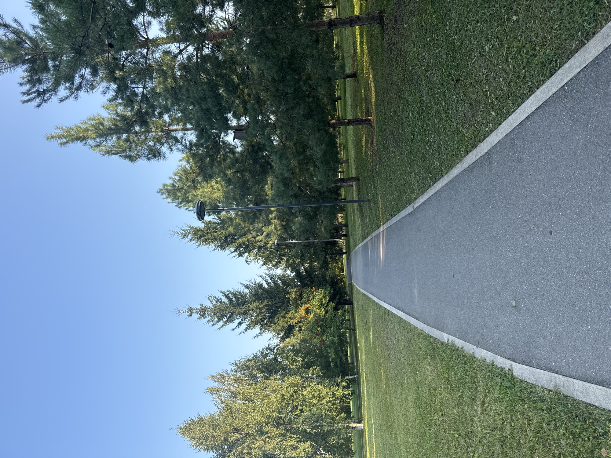 The image depicts a paved walkway in a park-like setting. The walkway is bordered by a grassy area on the left and a line of trees on the right. The trees are a mix of deciduous and coniferous species, with the coniferous trees appearing to be pines. The sky is clear and blue. A lamppost is visible to the left of the walkway, and another is further down the path. The overall impression is one of a tranquil, well-maintained public space. There are no people or animals visible in the image. The lighting suggests it is daytime, likely late afternoon given the angle of the shadows. The environment appears to be a temperate climate.