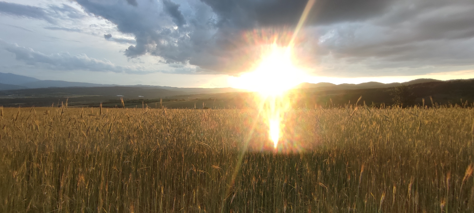 The image depicts a field of ripe wheat under a dramatic sky during sunset. The sun, intensely bright and creating a strong lens flare, is positioned high in the center of the frame, casting golden light across the landscape. Dark, heavy clouds are visible in the upper portion of the sky, contrasting with the bright sun. The wheat stalks are golden brown, indicating they are ready for harvest, and they extend to the horizon where rolling hills and distant mountains are silhouetted against the sunset. The environment appears rural, with no discernible buildings or human activity, suggesting a natural landscape. The location is identified as Momin Prohod, Bulgaria.