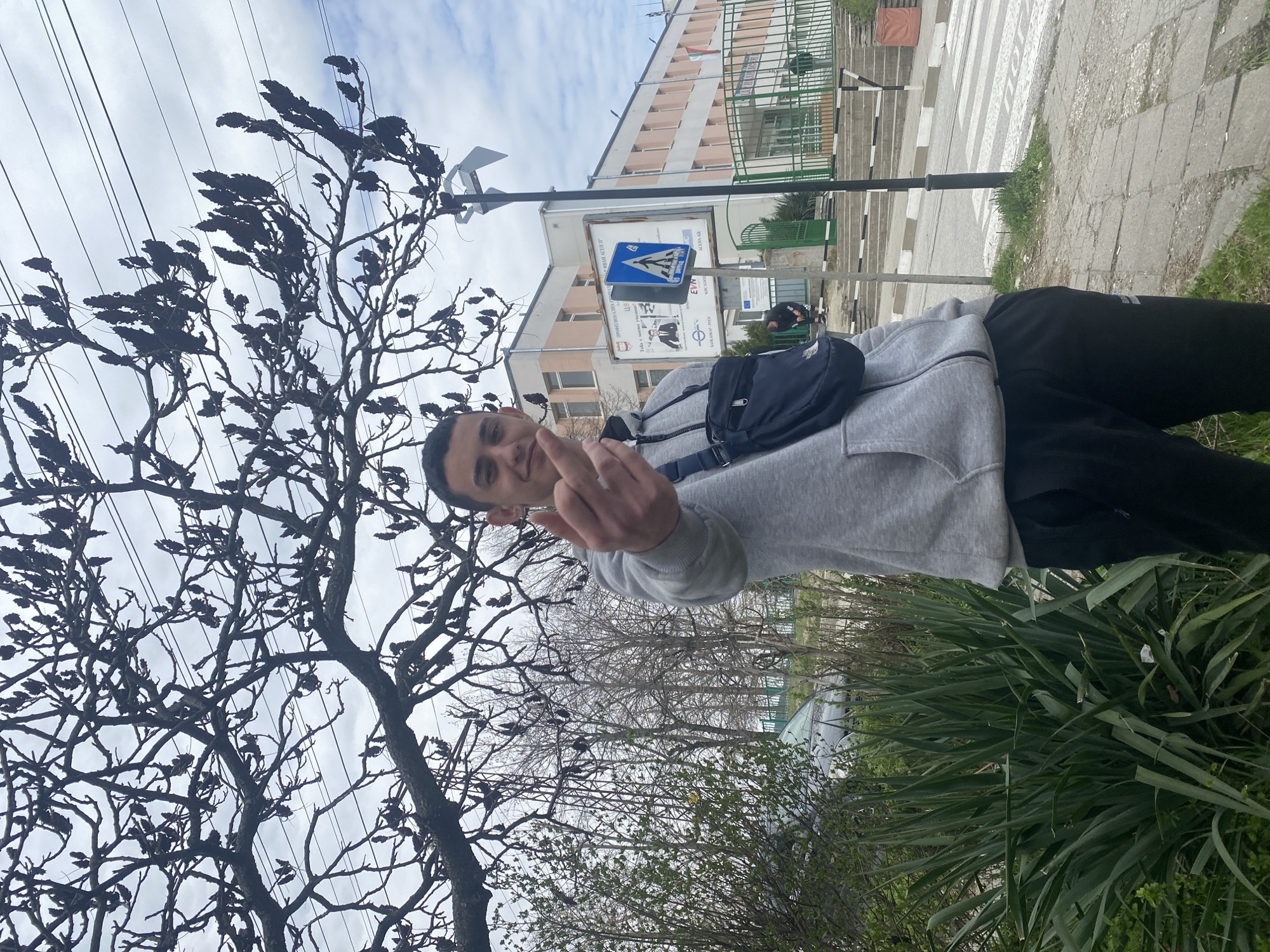 A young man stands outdoors in Asenovgrad, Bulgaria, next to a tree with dense, dark foliage and utility wires overhead. He faces the camera and is making an obscene gesture with his middle finger. He is wearing a gray hooded sweatshirt, black pants, and a dark blue cross-body bag. In the background, there is a building with multiple windows, a green fence, and a pedestrian crosswalk. A sign with a blue pedestrian crossing symbol is also visible near the building. The ground has greenery and a paved walkway. The sky is overcast.