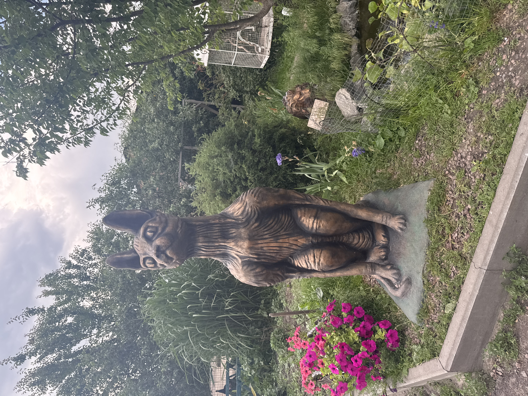 In Zaliznychne, Ukraine, a garden scene features a bronze statue of a hairless cat, resembling a Sphynx, sitting on a green base. The statue is positioned outdoors amidst lush greenery, with a cluster of vibrant pink petunias in the foreground to its left. Behind the cat statue, tall reeds and various shrubs form a dense backdrop. To the right of the cat statue, a smaller bronze lion head sculpture is visible, partially obscured by tall grass and a wire fence. In the background, a white metal bird cage with decorative elements stands near a tree. The ground is covered with grass, gravel, and scattered stones. The sky above is overcast with clouds, suggesting a subdued natural light.