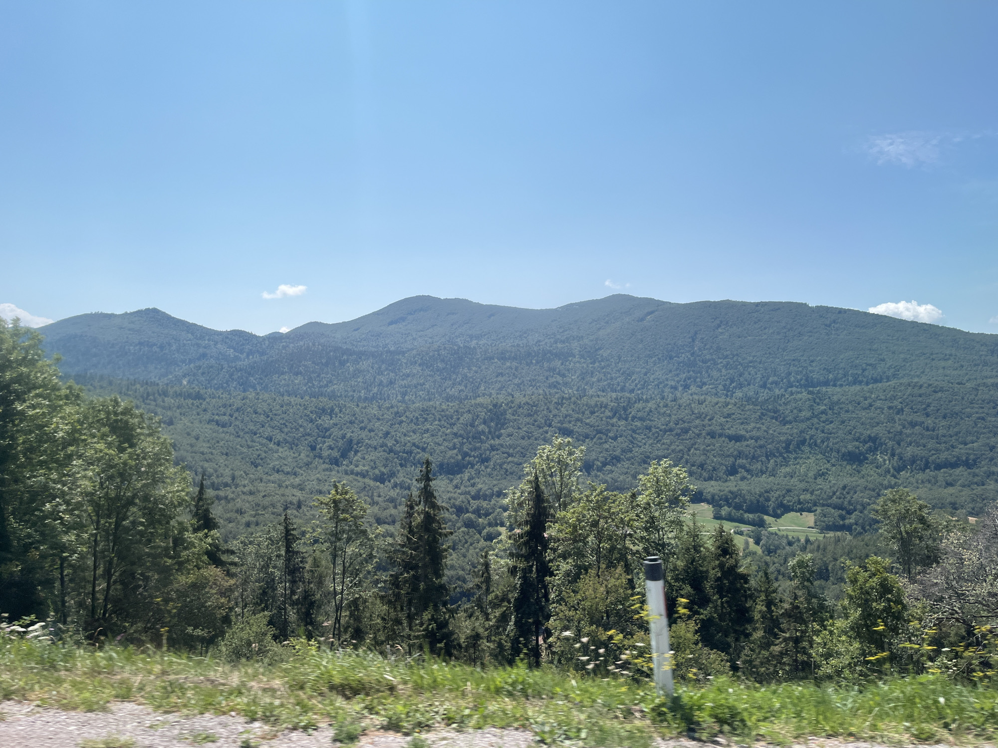 The image depicts a wide, elevated view of a lush, forested mountain range under a clear, bright blue sky. In the foreground, a grassy embankment slopes down towards a gravelly surface, suggesting a roadside perspective. A white and grey striped pole, likely a road marker, stands vertically on the right side of the frame, partially obscured by foliage. The middle ground is dominated by dense, verdant forests covering the rolling hills and mountains. Patches of lighter green, indicating fields or clearings, are visible nestled within the trees in the distance. A few wispy clouds are scattered across the expansive sky. The overall impression is one of a serene, natural landscape on a sunny day in the vicinity of Podkraj, Slovenia, a region known for its picturesque mountainous terrain.