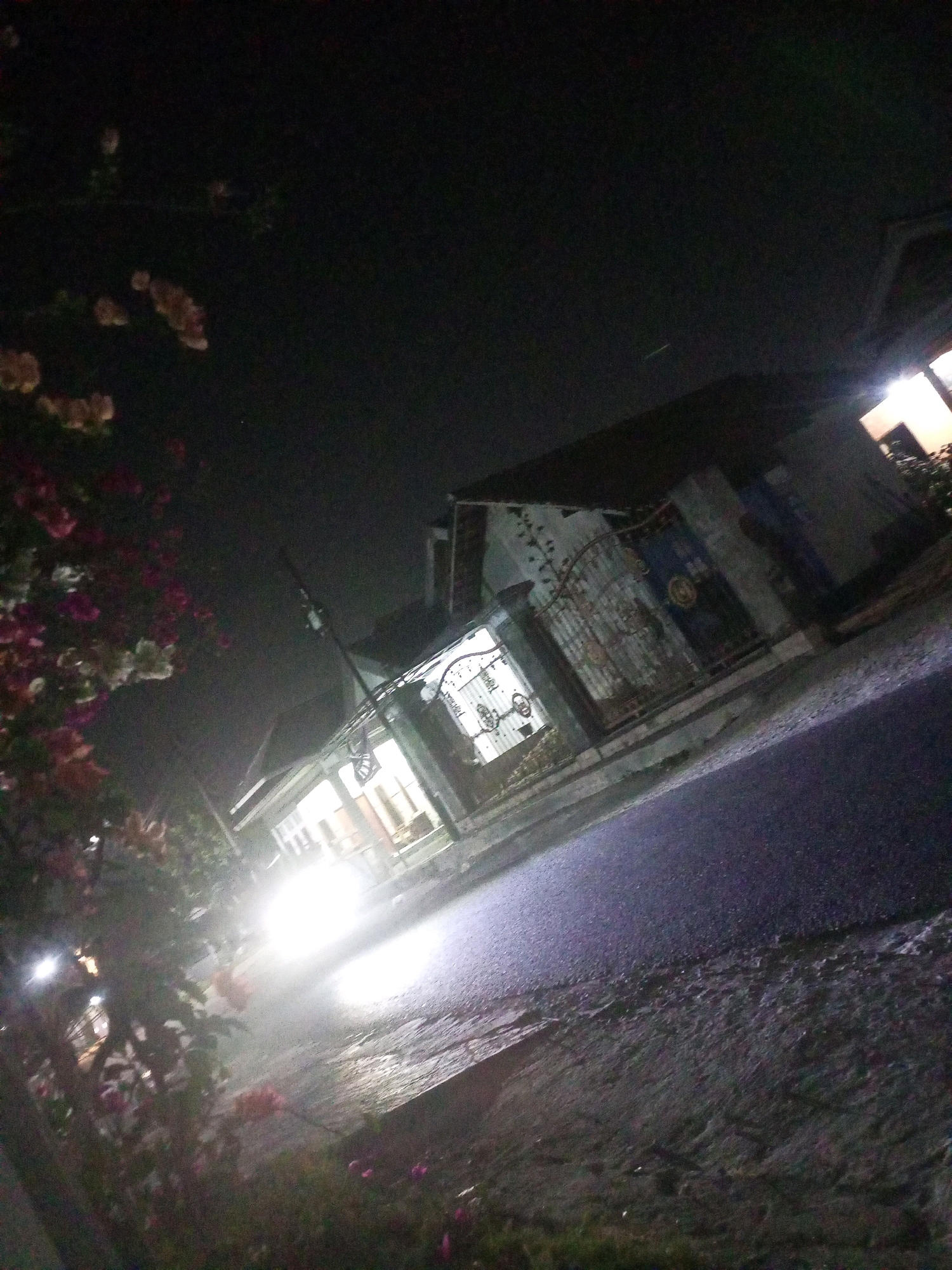 The image depicts a nighttime street scene in Ngasem, Indonesia, with a focus on a house entrance. In the foreground, there is a cluster of flowering plants, some with pink and white blossoms, partially obscuring the view. A bright light, likely from a vehicle's headlights, illuminates the wet asphalt road in the middle ground, creating a strong glare. The road surface appears to have some texture and possibly puddles.
To the right of the road, the entrance to a house is visible. It features an ornate, dark-colored metal gate, possibly wrought iron, with intricate patterns. Behind the gate, a building with visible windows and architectural details can be seen. The windows are illuminated from within, casting light onto the surrounding area. The overall impression is that of a residential area at night, with the street lights and the light from the house providing the primary illumination. The image is slightly tilted, contributing to a dynamic perspective. No people are clearly visible in the frame.