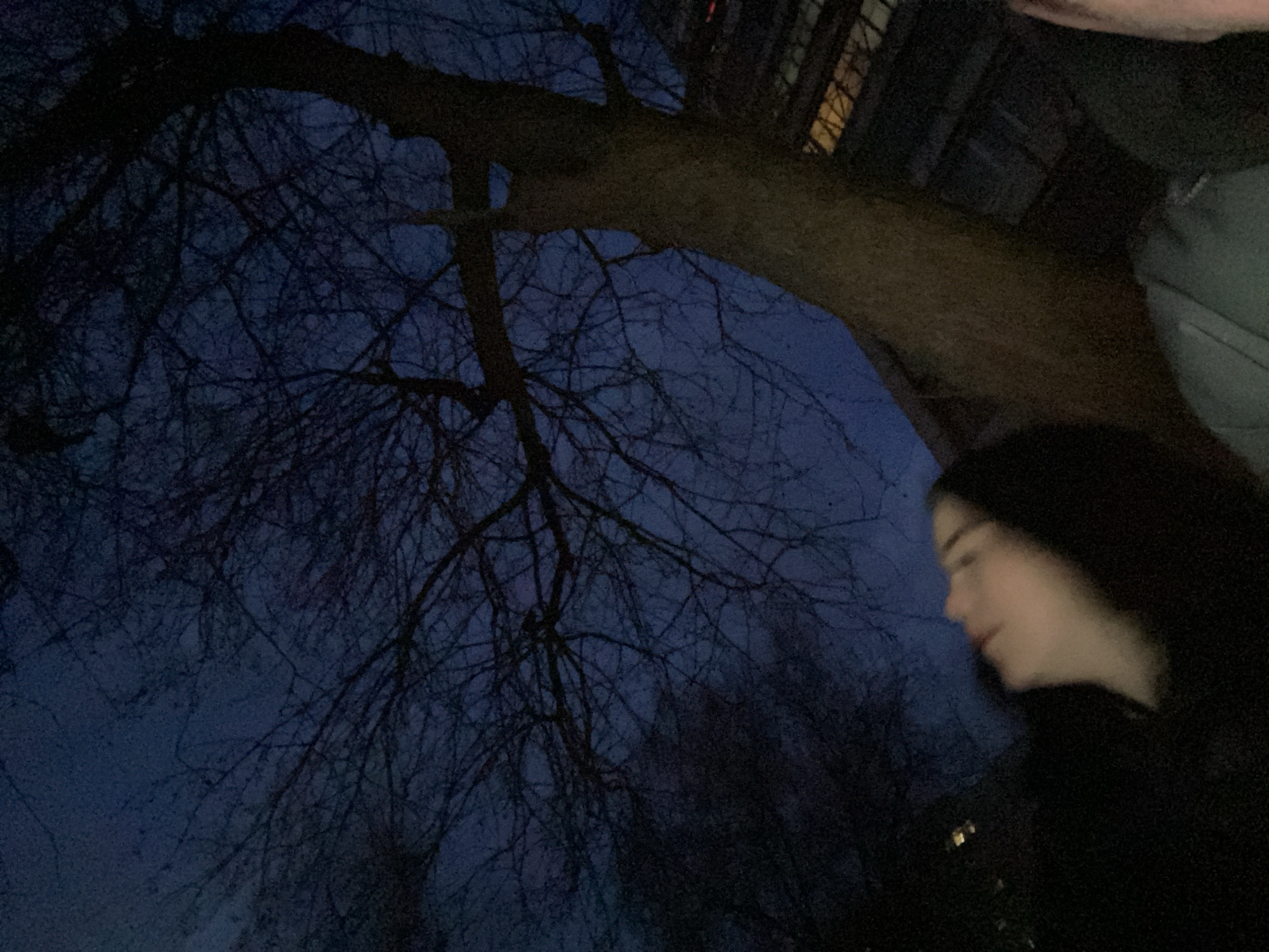 At twilight in Chaikovsky, Russia, an indistinct figure with dark hair is partially visible on the right. Above and to the left, leafless tree branches fill much of the frame against a dark blue sky. A thick tree trunk extends from the upper center, intersecting the branches. In the upper right, the corner of a building with lit windows can be seen. The image appears to be taken from below, looking upward.