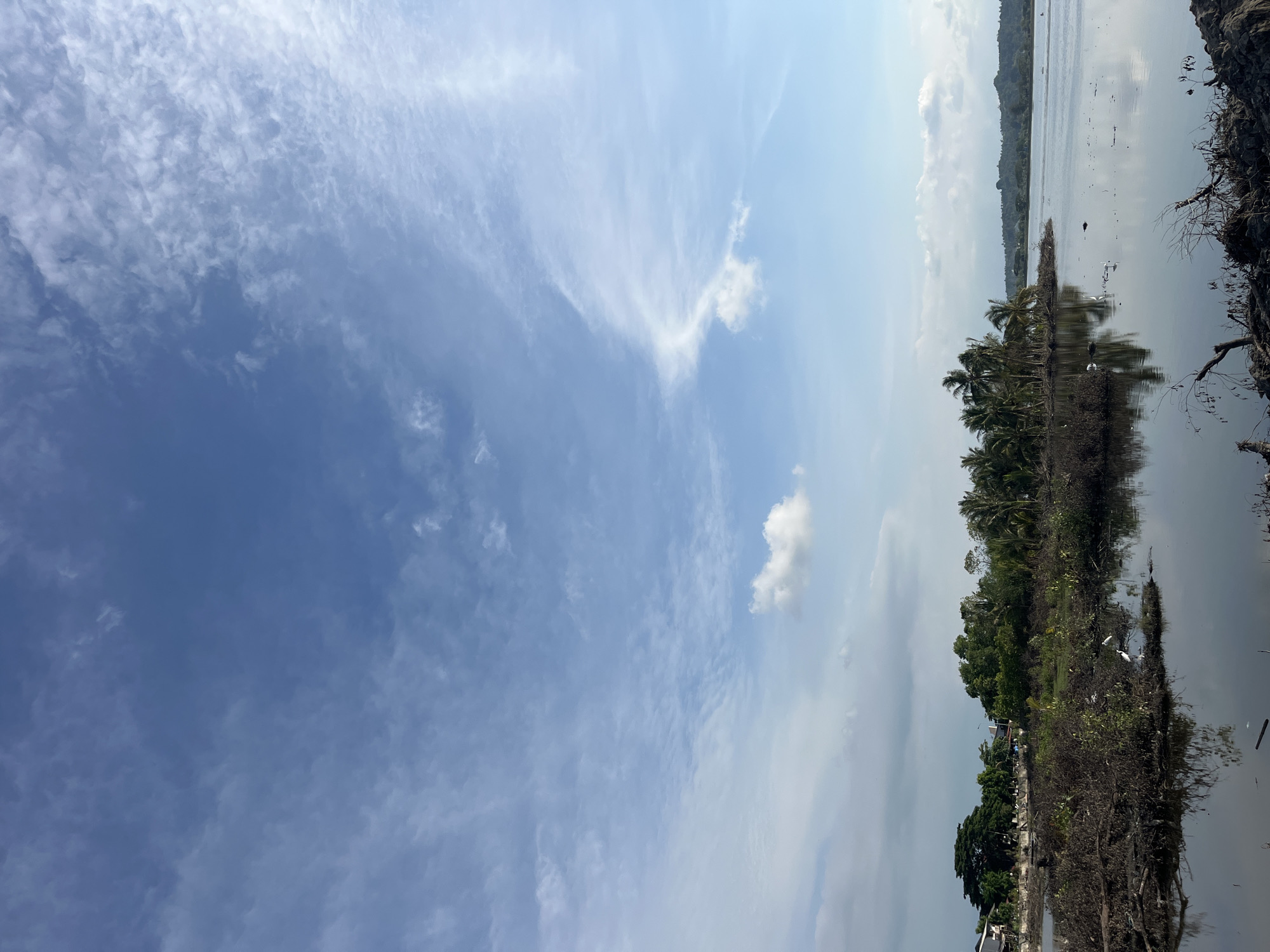 The image shows a landscape with a prominent blue sky partially covered with white, streaky clouds. The right side of the image shows a water body, potentially a lake or river, reflecting the sky. The shoreline is lined with trees, including palm trees, and dense vegetation. There appears to be evidence of recent clearing or debris along the edge of the water. Several white birds are visible amidst the vegetation. The location is likely in Lhokseumawe, Indonesia.