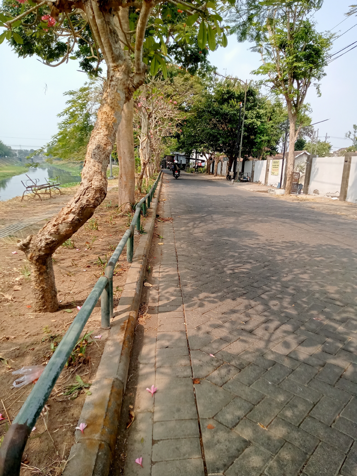 This is a street-level, eye-level shot of a paved road lined with trees and a sidewalk. On the left side of the road, a body of water is visible with two benches on its bank. Several trees with rough bark and sparse foliage grow along the sidewalk, some with pink flowers. The road itself is paved with interlocking grey bricks and is partially shaded by the trees. A few motorcycles are parked along the right side of the road, and one motorcycle with a rider is in motion further down the street. A white wall runs along the right side of the road, with some signage and a metal gate. The environment appears to be outdoors in a semi-urban setting, possibly a park or a residential area in Tulungagung, Indonesia. The sky is clear and bright.