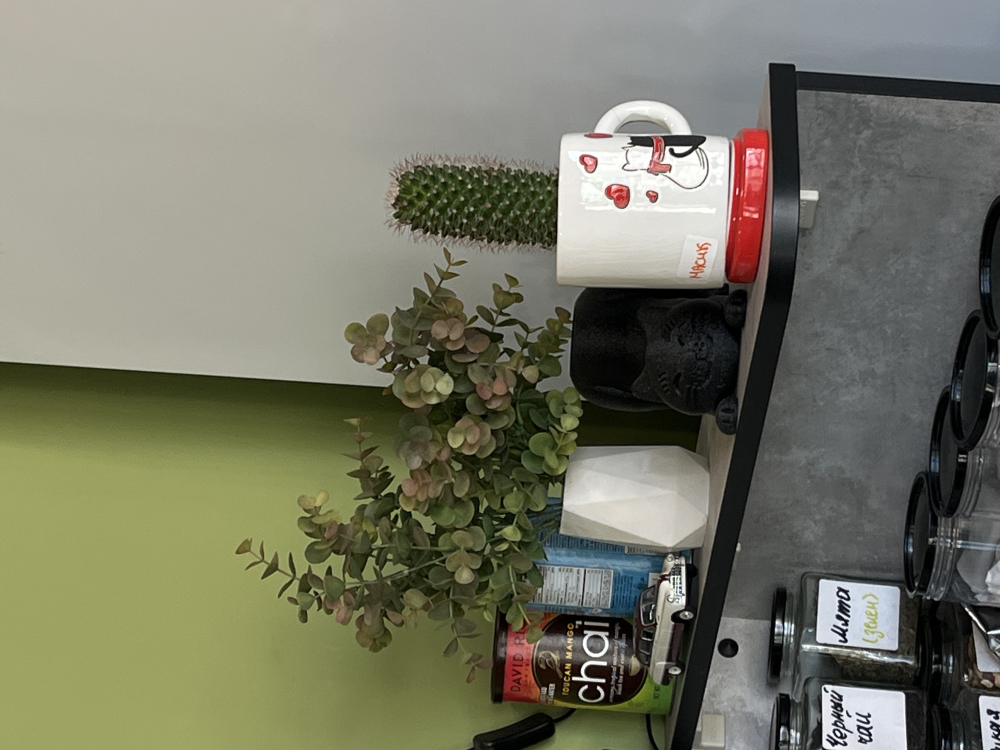 Here is a forensic description of the image:
**Scene Overview:** The image appears to be a close-up shot of items arranged on a shelf. The items include a cactus in a mug, artificial foliage, a container of chai tea, and jars of spices.
**Objects:**
* A white mug with red trim and cartoon drawing.
* A green cactus inside the mug.
* Artificial green and pink-tinted foliage.
* A cylindrical container labeled "DAVID RI TOUCAN MANGO chai."
* A small white container.
* Jars with labels in Cyrillic script, including "Мята (зелен)" (Mint), and "Черный rau" (Black tea).
* A small, toy car.
**Environment:** The backdrop consists of a green wall on the left and a gray/white wall above. A black shelf structure contains the items. The photo looks like it was taken indoors.
**Location:** The Russian Cyrillic used for "Мята (зелен)" (Mint), and "Черный rau" (Black tea) on the jars suggests the location could be Russia or a region where Russian is commonly used. Petropavlovsk-Kamchatsky is in Russia, so that would make it a plausible location.