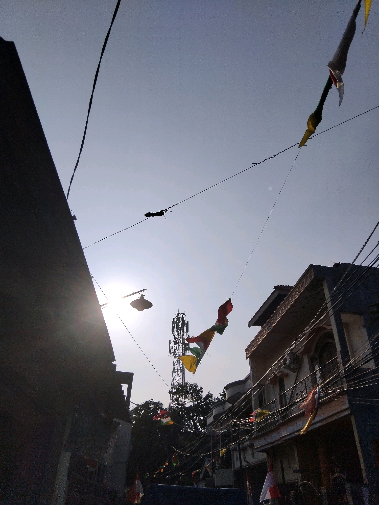 The image captures an outdoor scene in Berbek, Indonesia, under a clear sky with the sun positioned high, casting strong shadows and lens flares. The perspective is from a low angle, looking upwards.
Dominating the left side of the frame is the dark, silhouetted facade of a building, its angular shape extending towards the top left corner. A dark wire runs diagonally across the sky from the upper left to the lower center.
In the central and right portions of the image, a telecommunications tower stands tall amidst foliage. Numerous small flags, predominantly red and white, are strung along wires that crisscross the sky, appearing to be decorative or celebratory. One prominent flag, appearing red and white, is visible in the lower center, with other multi-colored flags to its left.
Further to the right, a building with multiple stories is visible. It has a cream-colored facade with decorative molding around the upper windows and a dark blue section on the right side. Wires are densely strung across the front of this building. A street lamp hangs from a wire in the mid-ground, illuminated by the sun. In the upper right, another string of flags, featuring yellow and white, is partially visible.
The scene suggests a street or residential area, possibly decorated for an event. No people are clearly visible in the image.