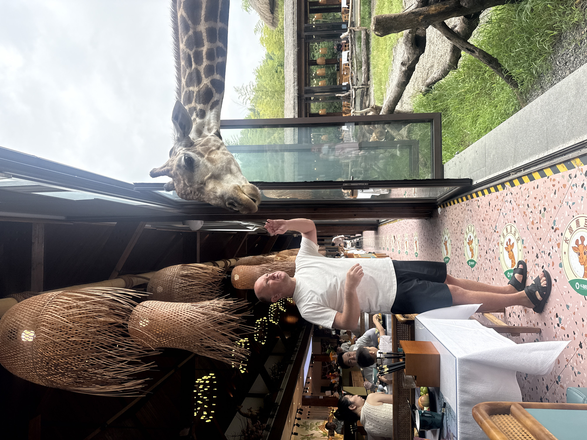 A man in a white t-shirt and black shorts stands on a pink terrazzo floor next to a large open window in a restaurant. He is reaching out his right hand towards a giraffe that is looking into the restaurant through the window. The giraffe's head and neck are visible. Inside the restaurant, other patrons are seated at tables. Suspended from the ceiling are large, woven bamboo light fixtures. Outside the window, there is green grass and a rustic wooden fence. The scene appears to be a unique dining experience in the city of Wuxing District, China, likely a zoo or wildlife park that incorporates dining facilities.