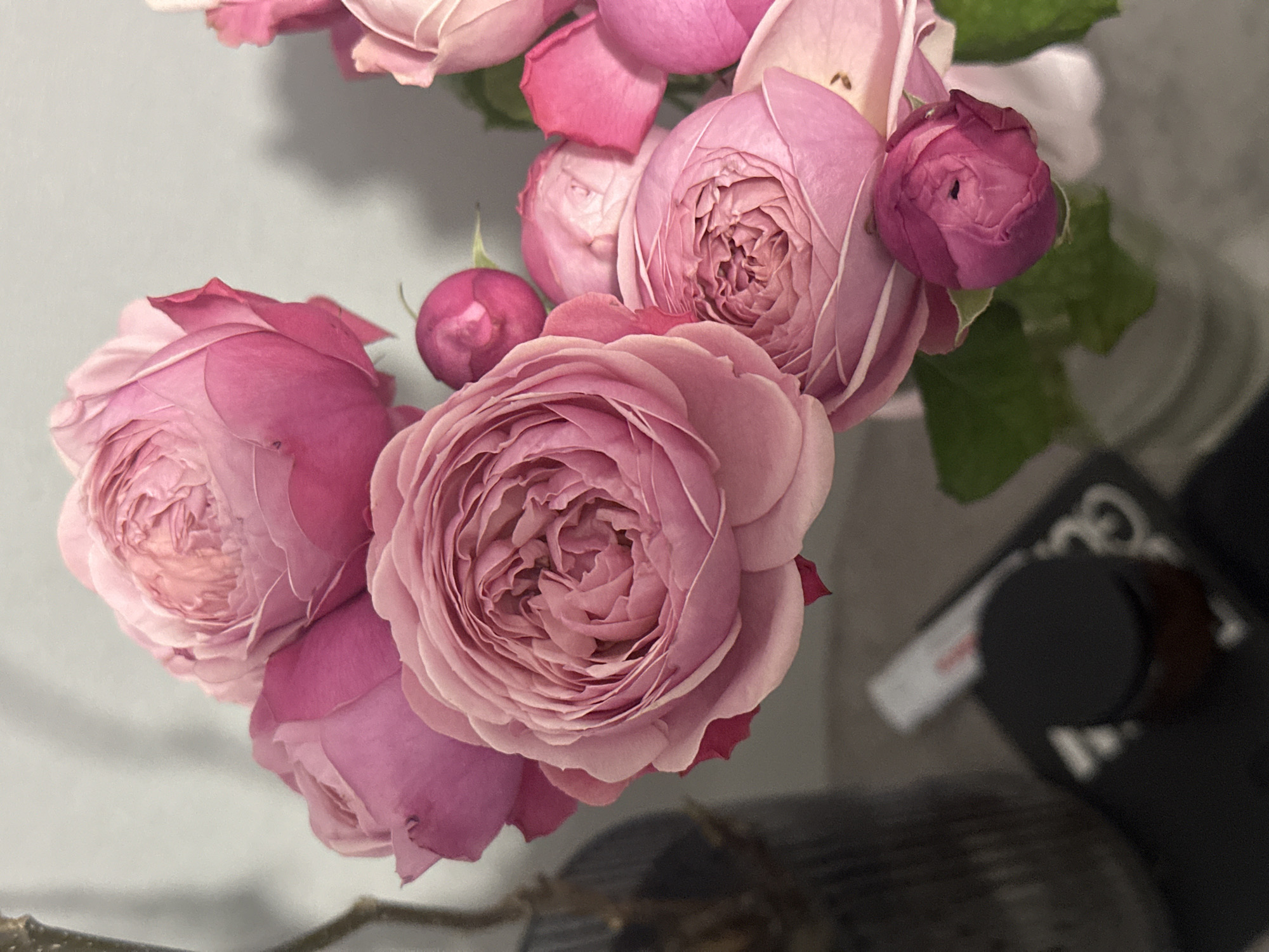 The image shows a cluster of pink roses with tightly packed petals, some fully open and some in bud form. The background is blurred, showing hints of green leaves and indistinct objects.
The location is not discernible from the image.