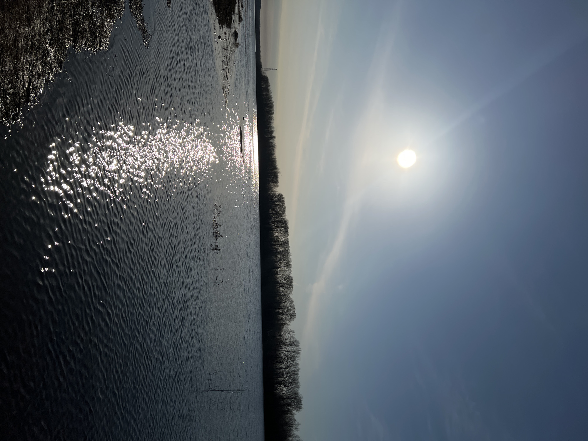 The image shows a landscape with water on the left, likely a river or lake, with reflections of the sun creating bright sparkles on its surface. The water's edge has vegetation, with dark-colored grass or plants visible. On the right, there is a line of trees stretching into the distance, bordering the water. Beyond the trees is a clear, blue sky with the sun positioned high. A transmission tower is visible in the distance. There is no evidence of people present in the image. The image is taken outdoors during the day, and given the city of Chaikovsky, Russia, it is likely a natural environment in the surrounding area.