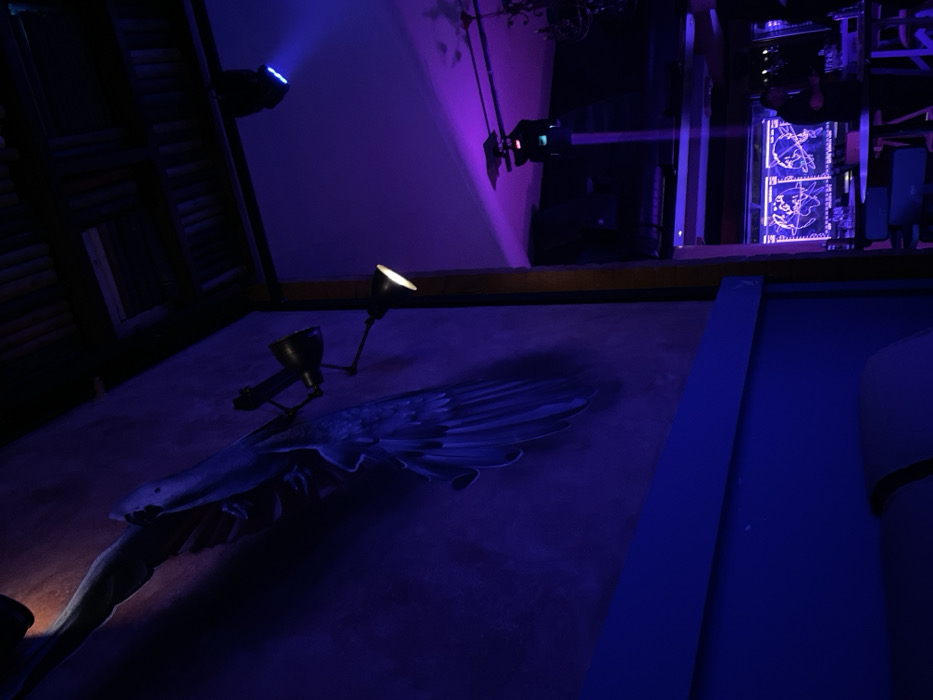 The image depicts a dimly lit indoor space, likely an exhibition or installation, characterized by vibrant artificial lighting in shades of blue and purple. In the foreground and midground, a large, dark sculpture, appearing to be a creature with prominent wings, possibly a bird, dragon, or mythical beast, rests on a flat surface. Two small, adjustable desk lamps or spotlights illuminate portions of the sculpture, drawing attention to its details.
In the background, various spotlights are visible, casting blue and purple light onto walls and other structures. To the upper right, an intricate setup includes industrial-style lighting equipment and a vertical display panel featuring glowing blue lines and symbols, possibly depicting maps, schematics, or abstract designs. A distinct, bright blue rectangular strip runs vertically along the right side of the main display area. The overall atmosphere is dramatic and mysterious, suggesting a curated artistic or educational presentation. There are no people visible, and no legible text can be discerned. The setting, given the context of Drapetsona, Greece, could be a local museum, gallery, or event space showcasing this unique display.