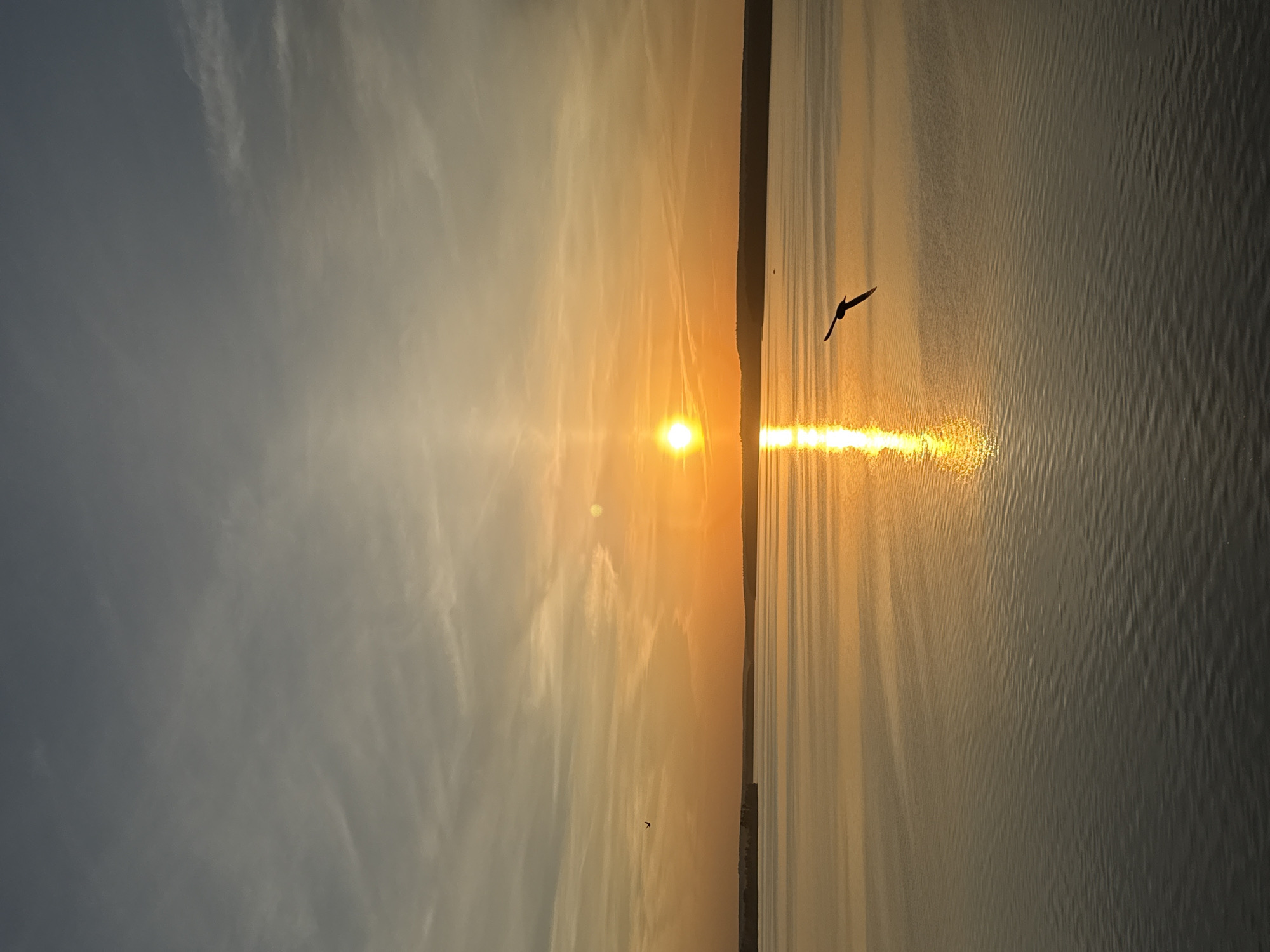 The image captures a tranquil scene at sunset, likely near water, possibly a lake or large river. The sun is low on the horizon, its golden light reflecting prominently on the water's surface. The sky is a blend of soft orange hues near the sun, transitioning to cooler blue-gray tones away from it. Thin, wispy clouds are scattered across the sky. Two dark silhouettes of birds are visible. The water has a gentle ripple effect, and the light reflected from the sun creates a bright path on the water. A dark strip of land appears in the distance. Votkinsk, Russia, is not evident in the image. Without additional information or features identifiable to Votkinsk, Russia, a precise identification of the location within the city is impossible.