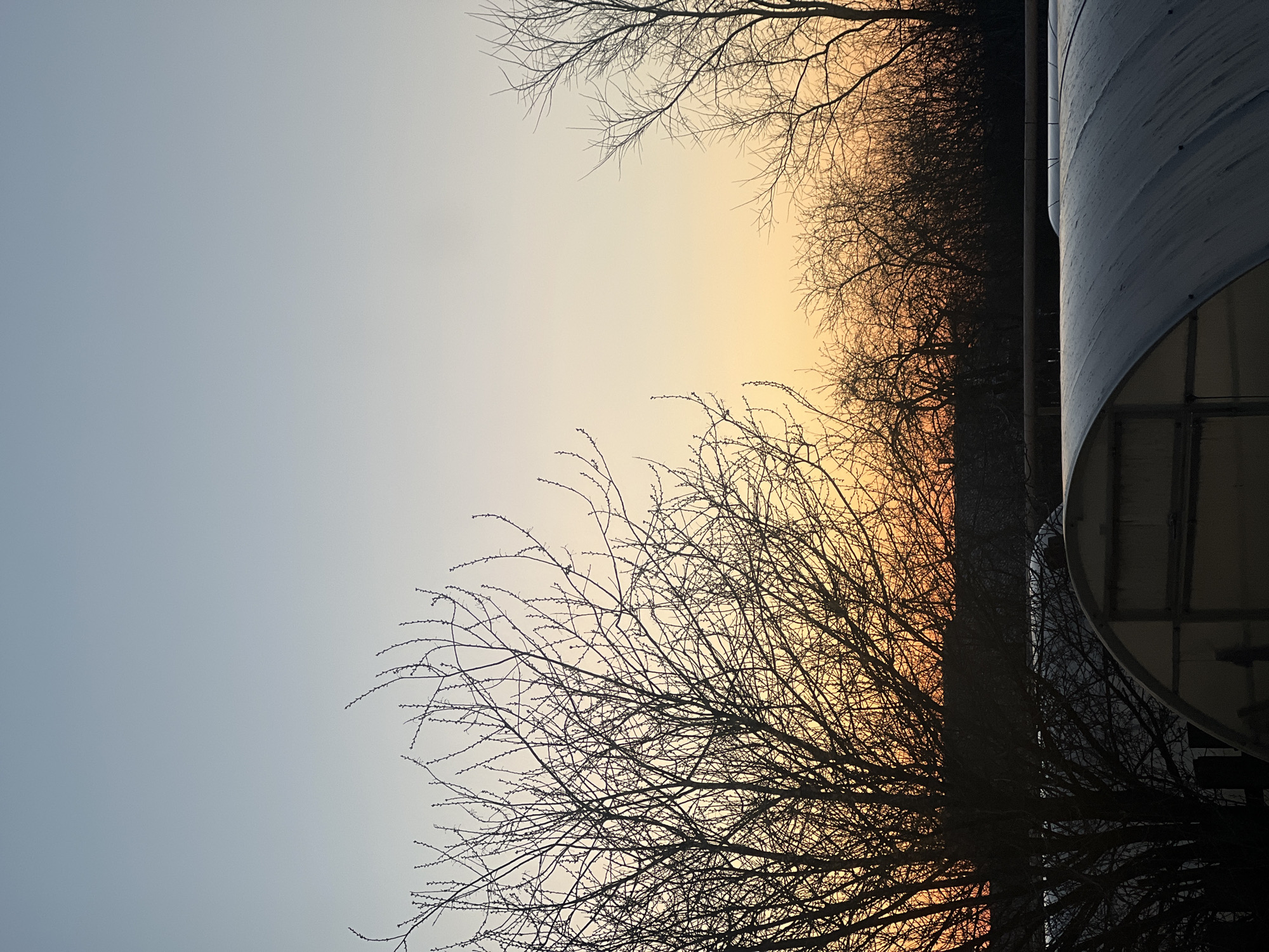 The image shows a sky with varying shades of light, transitioning from a pale blue on the left to a warm orange/yellow towards the center and right. Silhouetted tree branches are visible against the sky, particularly in the foreground and along the top edge. A large, rounded, silver structure is partially visible on the right side, with possible window or paneling visible within the curved surface. Given the urban-like structure, its relation with the tree, and the skyline, this could be an image taken in Votkinsk, Russia. Without specific details on local landmarks or street features, it is challenging to confirm it definitively within Votkinsk or identify people, interactions, or specific actions. The scene seems to be during sunset or sunrise, based on the sky colors.