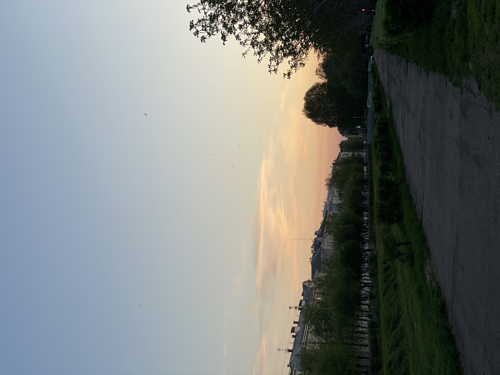 The image shows a view of a street in Zheleznogorsk, Russia, at dusk. The sky transitions from blue to orange and pink near the horizon. A paved road runs along the right side of the image, bordered by green grass and bushes. Trees line the road, and buildings are visible in the background. Silhouetted branches are at the top left of the frame. The light suggests the photo was taken during the evening. There is a small plane flying in the distance.