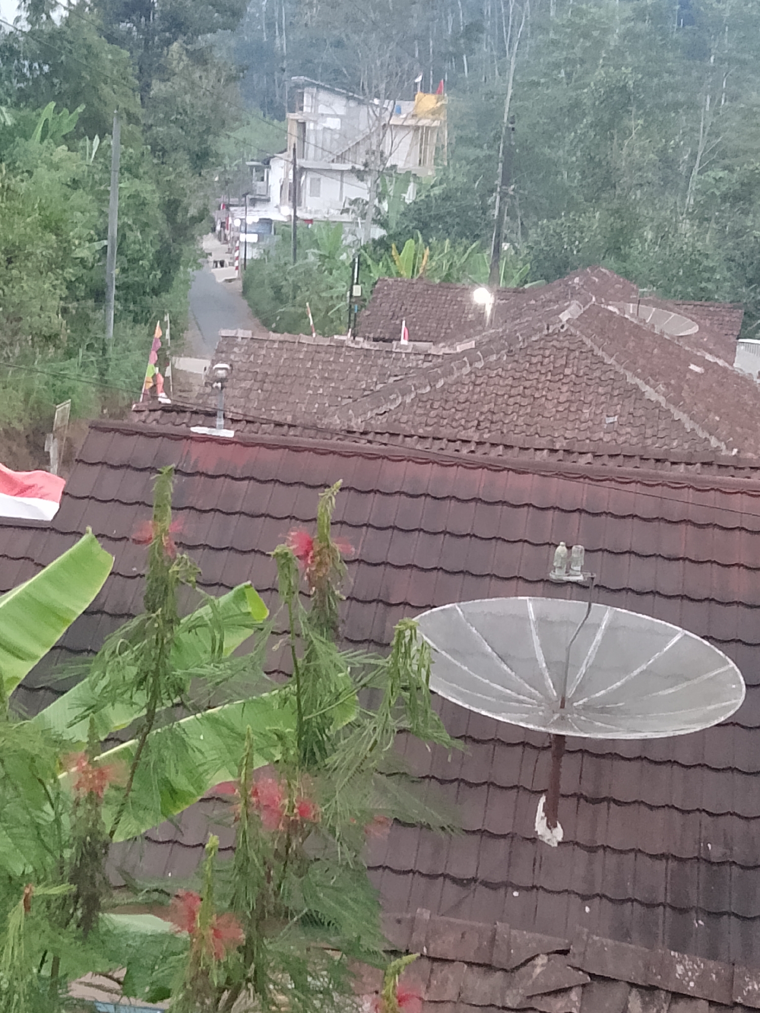 The image depicts a residential area in Betonan, Indonesia, characterized by a cluster of houses with red-tiled roofs. In the foreground, a satellite dish is mounted on one of the roofs, with lush green foliage, including banana leaves and flowering plants with red blossoms, partially obscuring the view. Beyond the immediate rooftops, a narrow road winds through the neighborhood, flanked by trees and more houses. In the background, a hillside covered in dense green trees rises behind the buildings. The architecture appears to be typical of a tropical environment, with simple, functional structures. The overall impression is one of a quiet, possibly rural or semi-urban, Indonesian village.