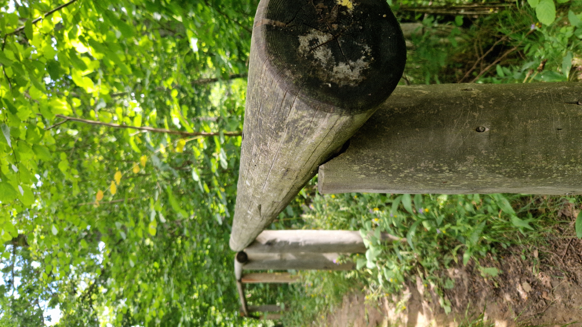 In Embūte, Latvia, a wooden railing follows a dirt path through a lush forest. The railing is constructed from thick, weathered logs supported by vertical wooden posts, several of which are visible in the foreground and receding into the distance. The path is flanked by dense green foliage, with small yellow and purple wildflowers interspersed among the leaves and grass. The sunlight filters through the canopy, creating a dappled effect on the ground and the railing. The image is taken from a low angle, emphasizing the texture of the wood and the surrounding vegetation. There are no people or animals present in the scene.