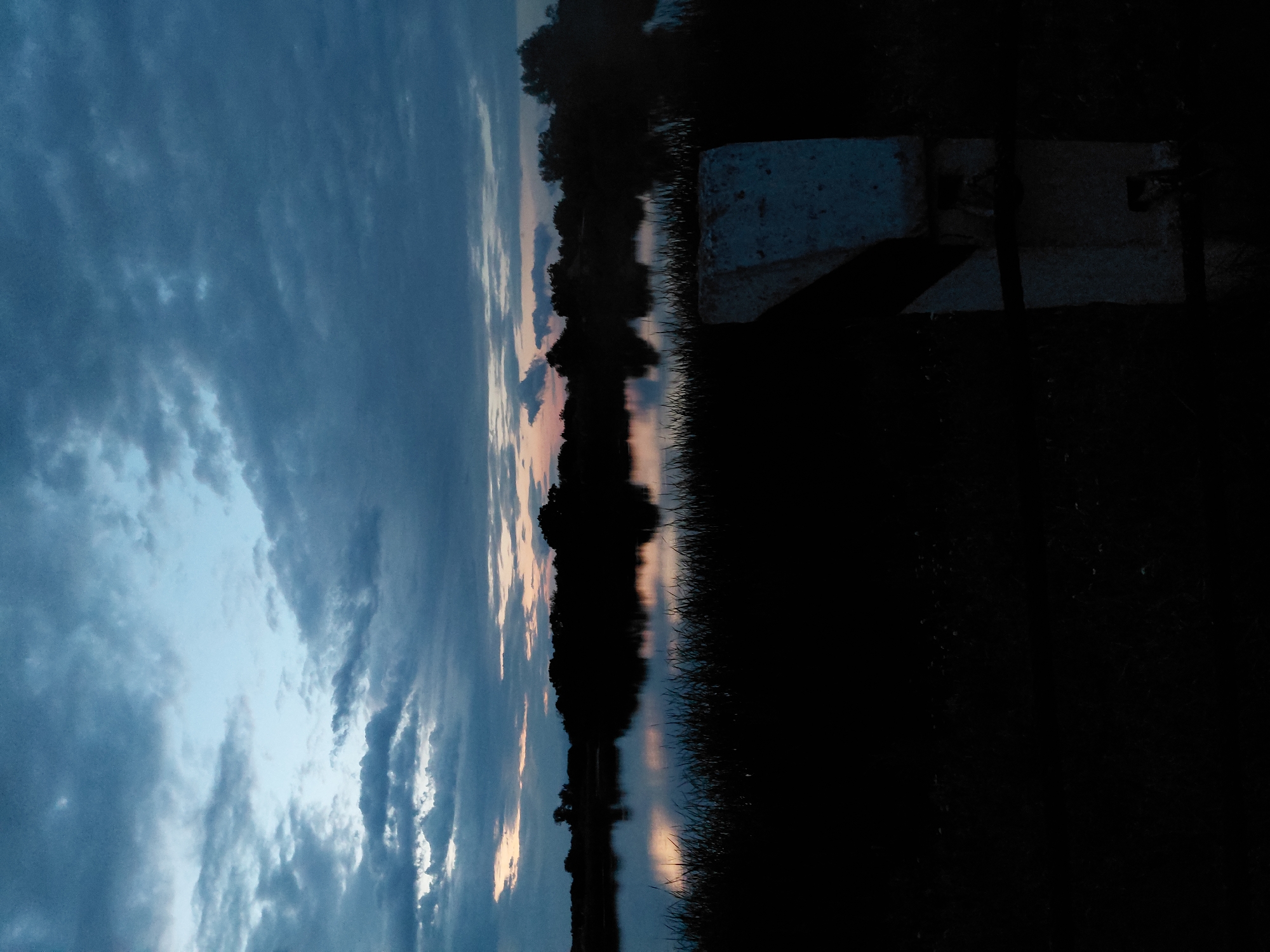 The image captures a dusk or dawn scene over a body of water bordered by a dark silhouetted treeline. The sky is filled with dramatic, heavy clouds in shades of dark blue and gray, with hints of muted pink and orange peeking through near the horizon, suggesting the last vestiges of sunlight. The water reflects the sky and the treeline, creating a blurred, moody mirror image. In the foreground, tall, dark reeds or grass are visible along the water's edge, creating a dense, dark band across the bottom of the frame. To the right, a weathered, concrete post or marker stands partially in shadow, its rough texture visible against the dark surroundings. The overall atmosphere is serene yet somber, evoking a sense of quiet solitude in a natural setting. The location is identified as being in the city of Ustyvytsia, Ukraine.