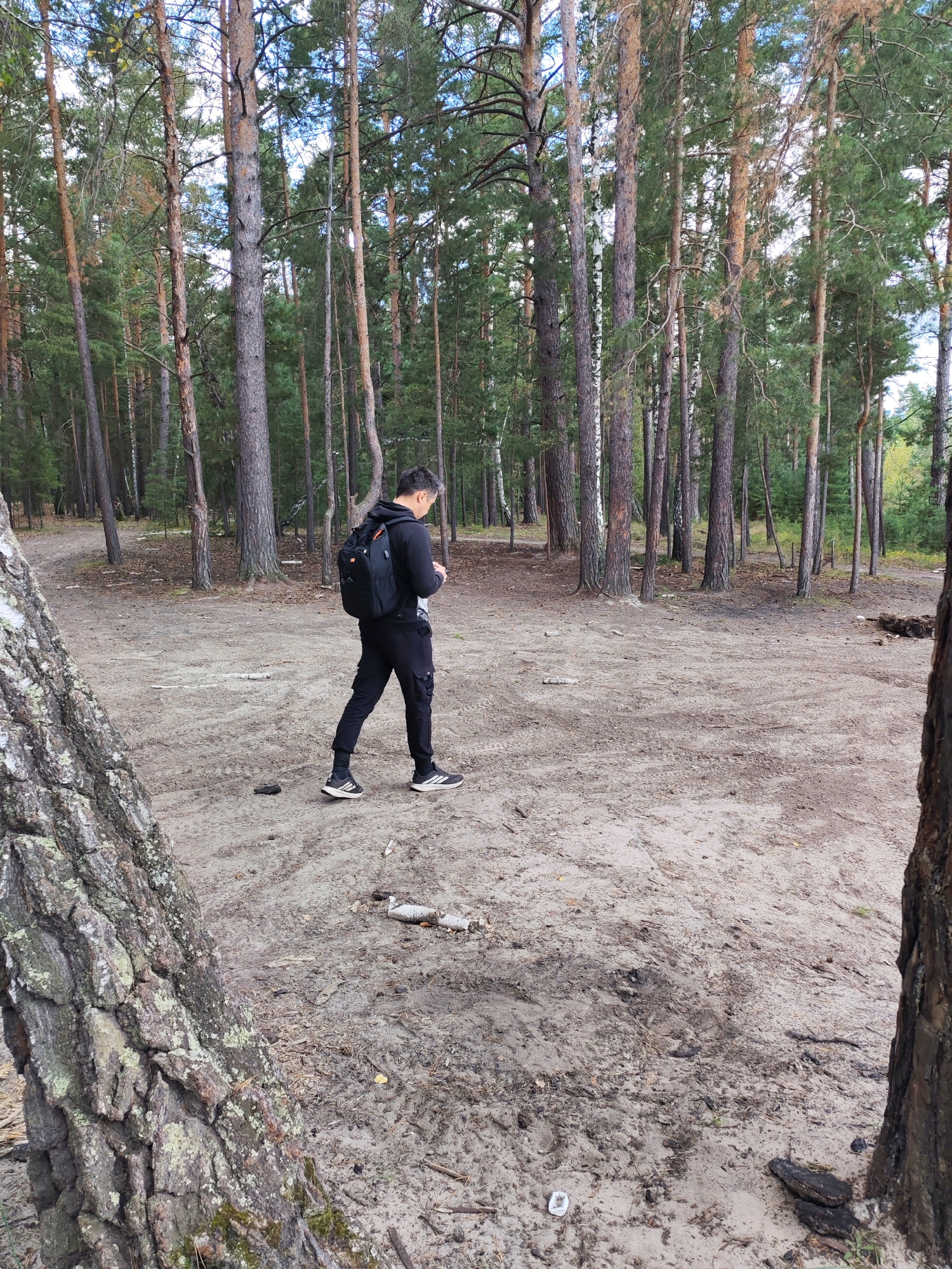 A person wearing a black hoodie, black pants, and black sneakers with white accents walks through a sandy clearing in a pine forest. The person is carrying a black backpack with orange accents and is looking at their phone. The ground is covered in sand, pine needles, and some scattered debris. There are many tall pine trees with a dense canopy overhead. The lighting suggests it is daytime.