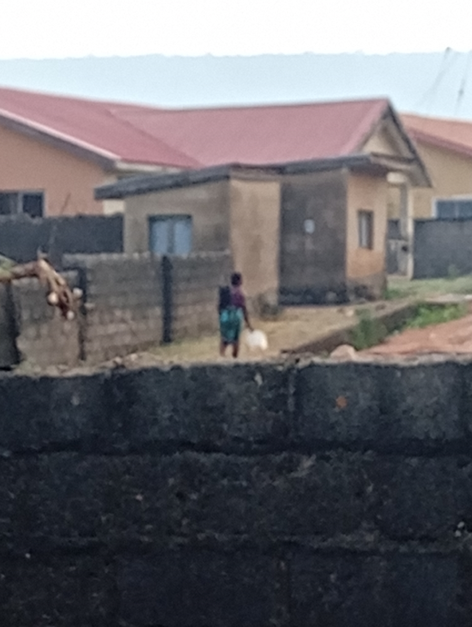 The image shows a residential area in Adankolo, Nigeria. A person is walking along a path between brick fences, carrying a white bag. Behind the person are several buildings with red roofs. The foreground is dominated by a gray concrete wall.