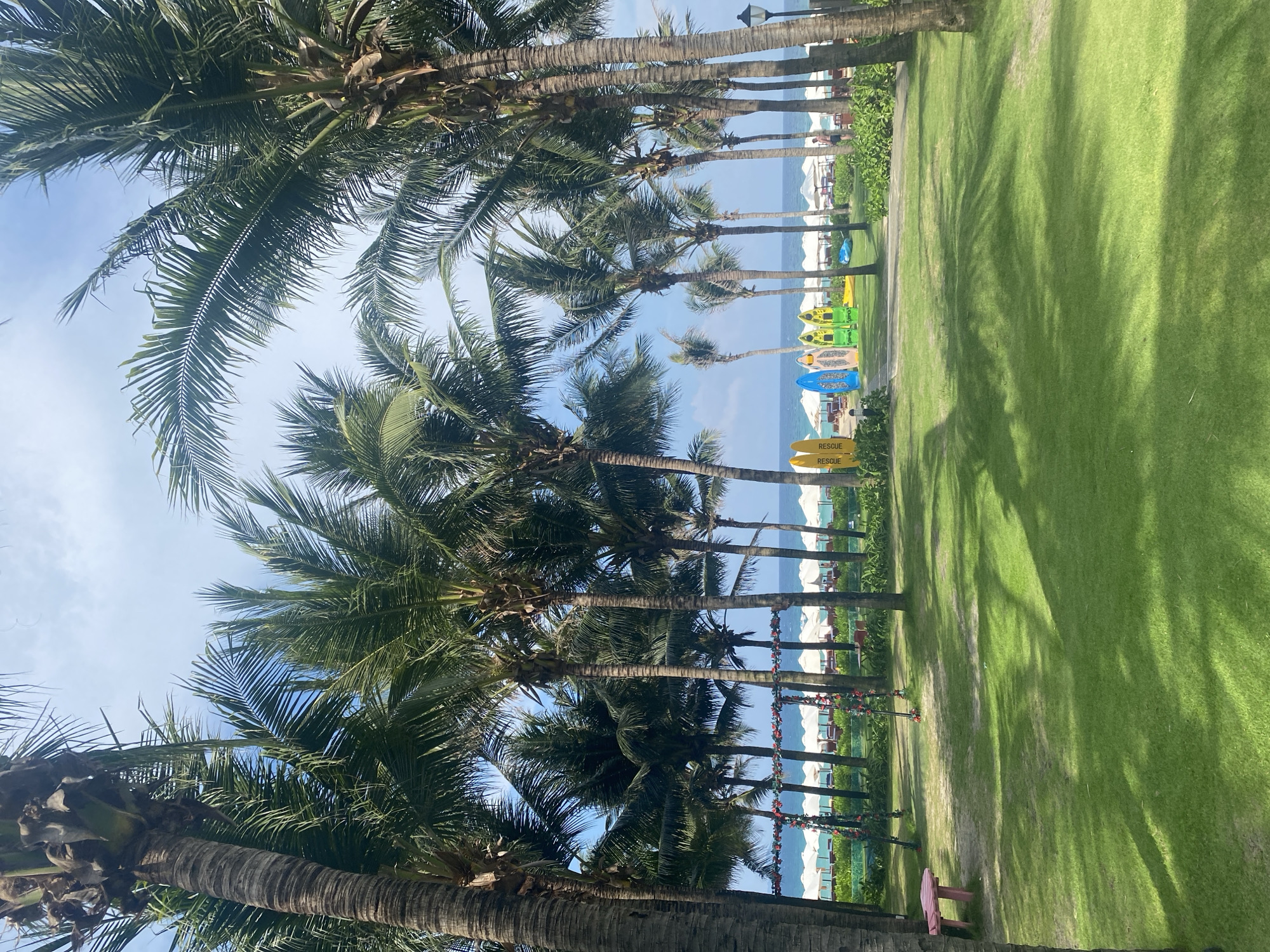 The image captures a tropical scene in Bac Cam Ranh Ward, Vietnam. The foreground is dominated by a row of palm trees framing the view towards the ocean. On the right, a well-maintained grassy area extends, partially shaded by the palm trees. A row of lifeguard surfboards are visible near the beach. In the distance, the beach is lined with white beach umbrellas. The sky is blue with some visible clouds.